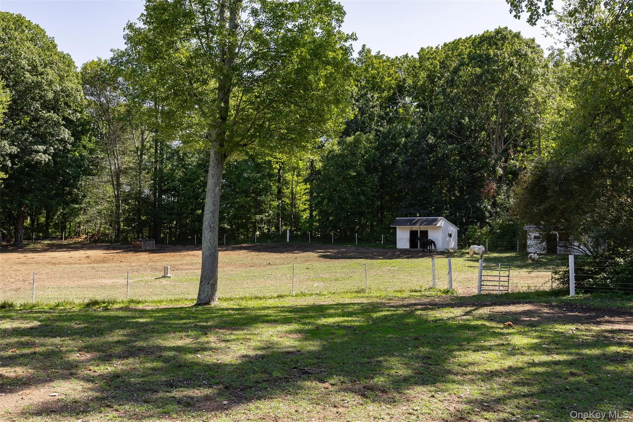 26 Gold Road, La Grange, NY, 4 Bedrooms Bedrooms, 9 Rooms Rooms,2 BathroomsBathrooms,Residential,For Rent,Gold,0,1050864 26 Gold Road, La Grange, NY, 4 Bedrooms Bedrooms, 9 Rooms Rooms,2 BathroomsBathrooms,Residential,For Rent,Gold,0,1050864