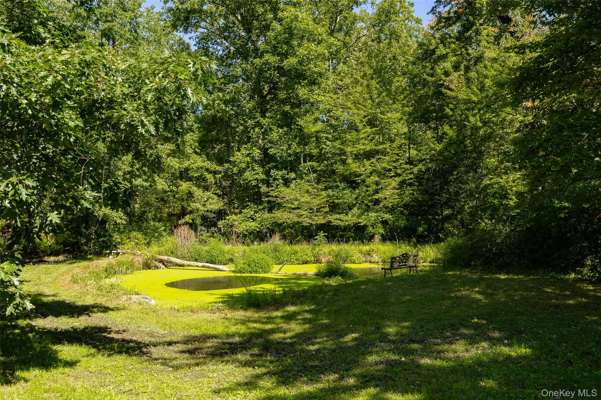 26 Gold Road, La Grange, NY, 4 Bedrooms Bedrooms, 9 Rooms Rooms,2 BathroomsBathrooms,Residential,For Rent,Gold,0,1050864 26 Gold Road, La Grange, NY, 4 Bedrooms Bedrooms, 9 Rooms Rooms,2 BathroomsBathrooms,Residential,For Rent,Gold,0,1050864