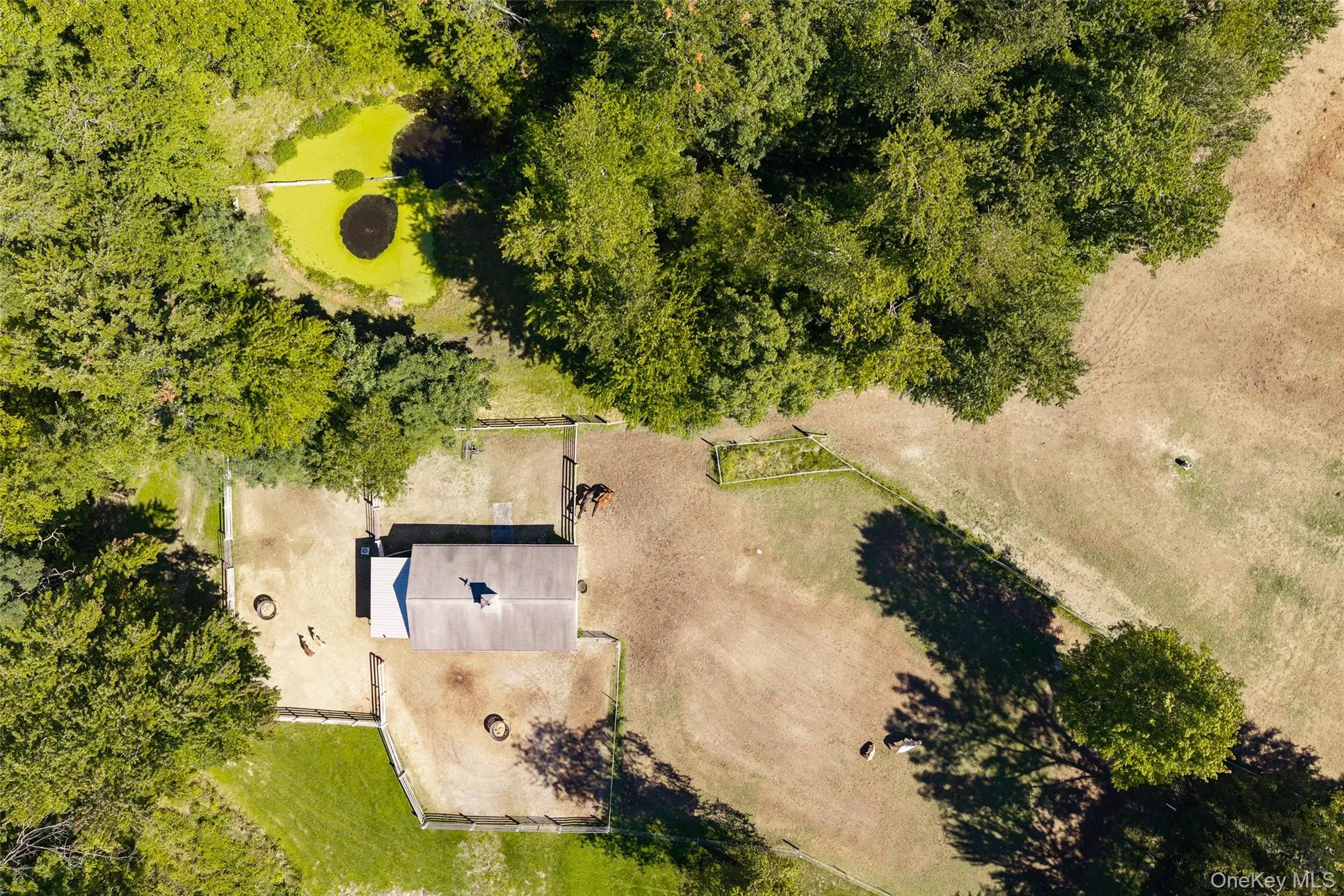 26 Gold Road, La Grange, NY, 4 Bedrooms Bedrooms, 9 Rooms Rooms,2 BathroomsBathrooms,Residential,For Rent,Gold,0,1050864 26 Gold Road, La Grange, NY, 4 Bedrooms Bedrooms, 9 Rooms Rooms,2 BathroomsBathrooms,Residential,For Rent,Gold,0,1050864