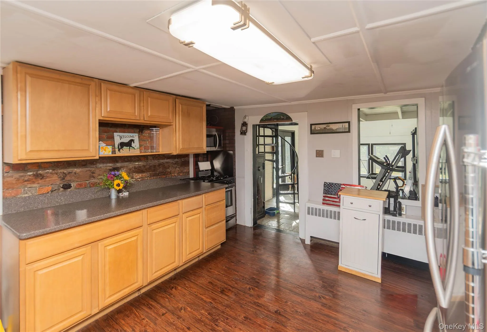 Kitchen featuring backsplash, stainless steel appliances, dark wood-style flooring, and radiator heating unit Kitchen featuring backsplash, stainless steel appliances, dark wood-style flooring, and radiator heating unit