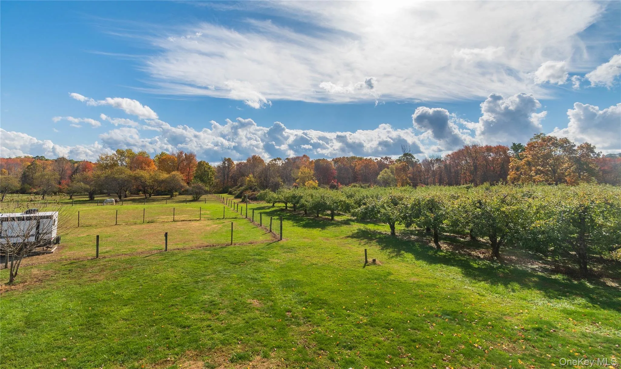 View of yard with a view of rural / pastoral area View of yard with a view of rural / pastoral area