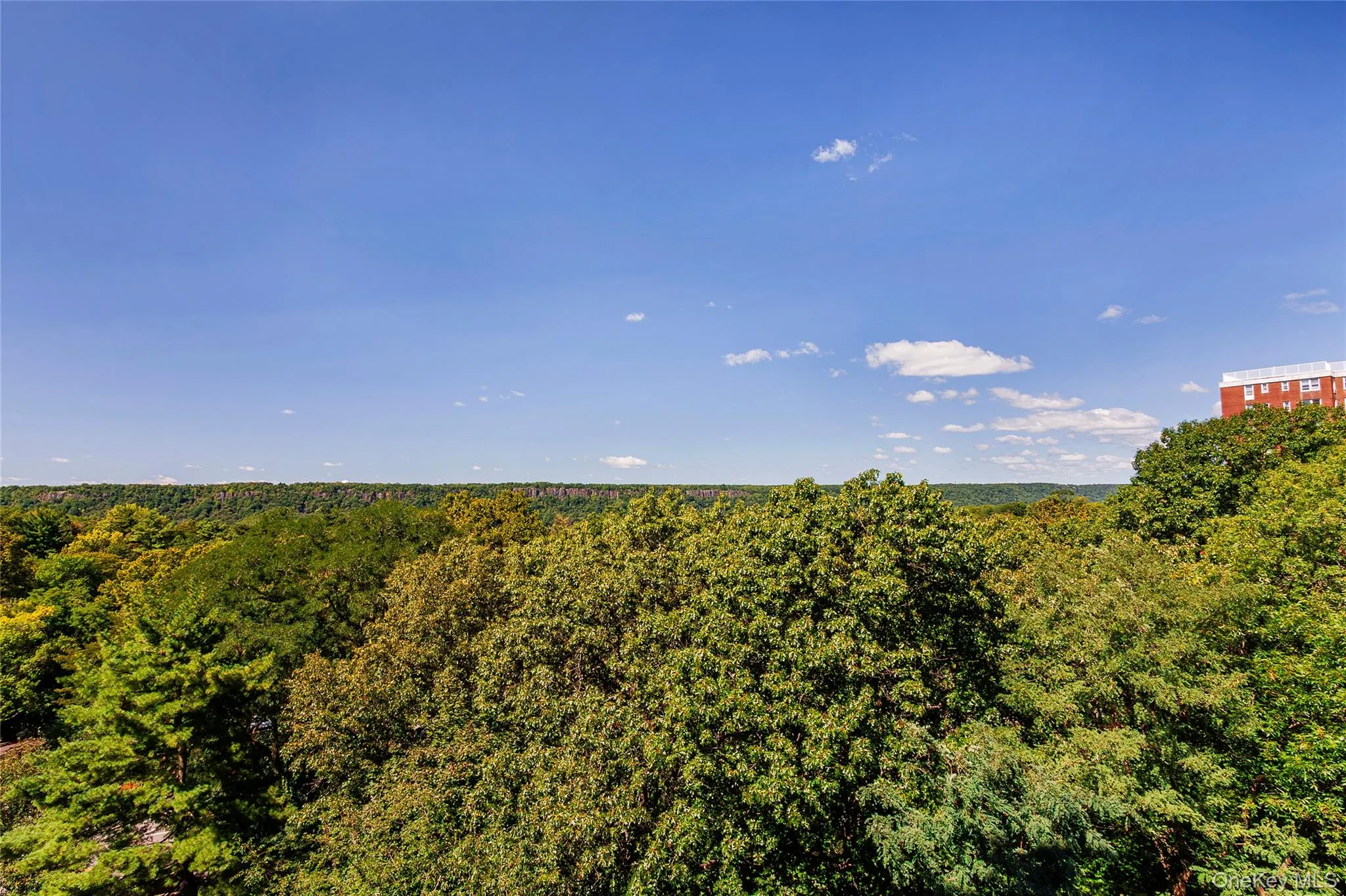 3935 Blackstone Avenue, New York, NY, 3 Bedrooms Bedrooms, 6 Rooms Rooms,2 BathroomsBathrooms,Residential,For Rent,Blackstone,0,1050896 3935 Blackstone Avenue, New York, NY, 3 Bedrooms Bedrooms, 6 Rooms Rooms,2 BathroomsBathrooms,Residential,For Rent,Blackstone,0,1050896
