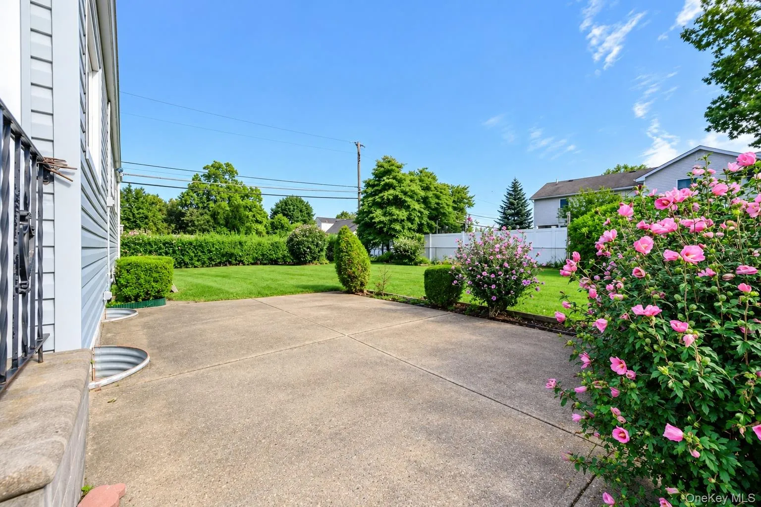 Expansive lawn area with a concrete patio Expansive lawn area with a concrete patio