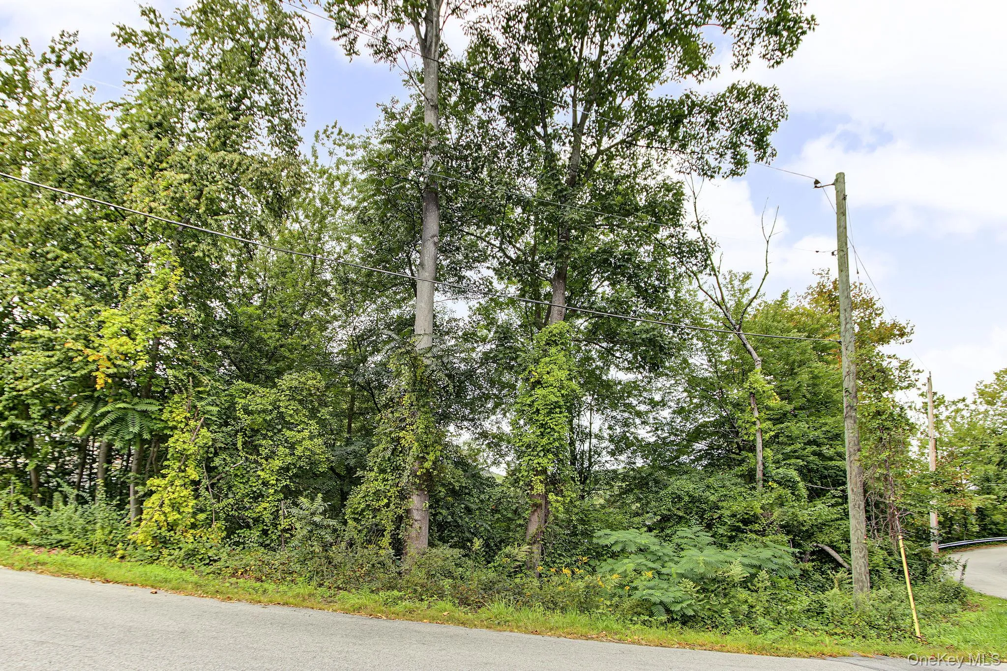 47 Jean Drive, Cortlandt, NY, 3 Bedrooms Bedrooms, 7 Rooms Rooms,2 BathroomsBathrooms,Residential,For Rent,Jean,0,1050926 47 Jean Drive, Cortlandt, NY, 3 Bedrooms Bedrooms, 7 Rooms Rooms,2 BathroomsBathrooms,Residential,For Rent,Jean,0,1050926
