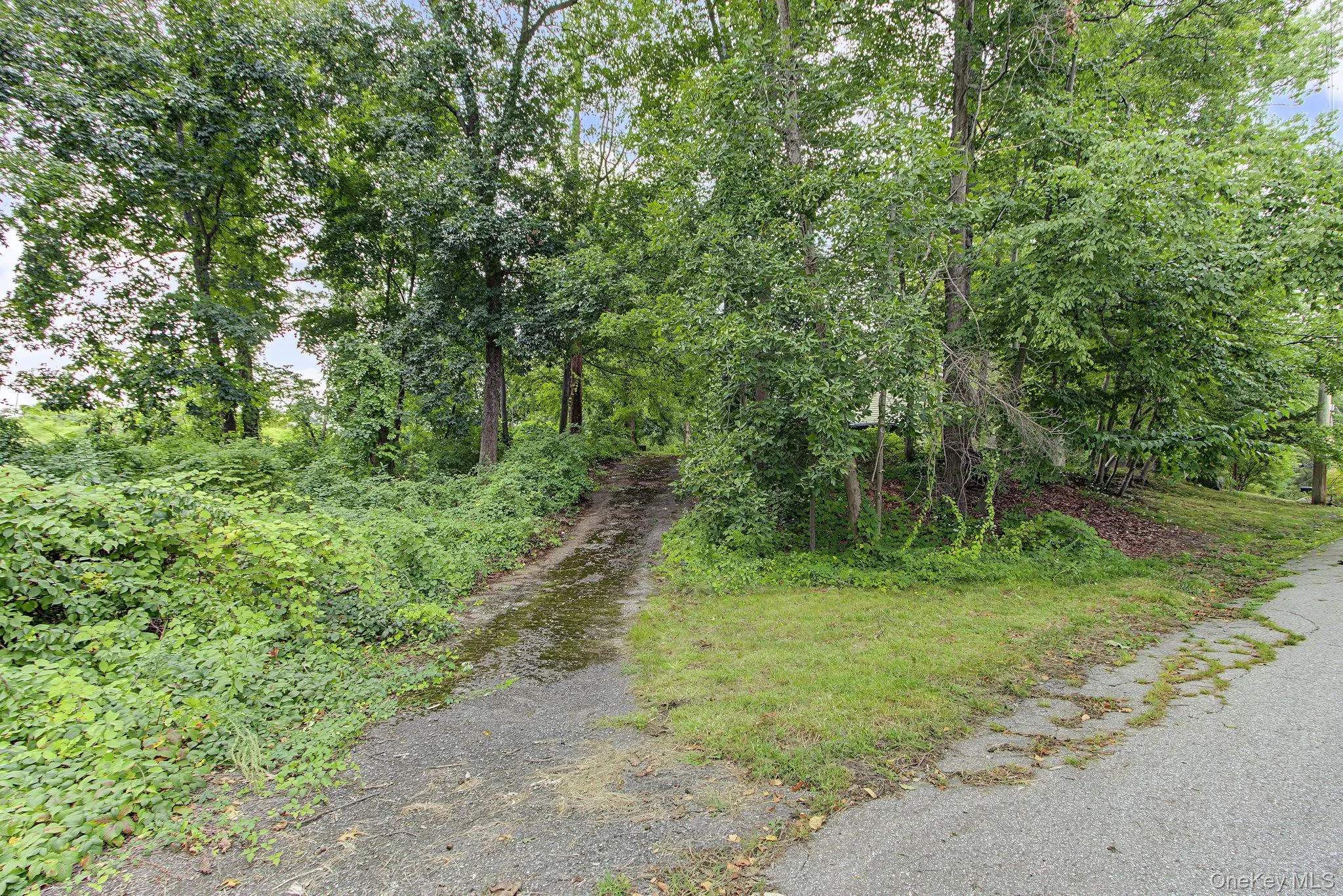 47 Jean Drive, Cortlandt, NY, 3 Bedrooms Bedrooms, 7 Rooms Rooms,2 BathroomsBathrooms,Residential,For Rent,Jean,0,1050926 47 Jean Drive, Cortlandt, NY, 3 Bedrooms Bedrooms, 7 Rooms Rooms,2 BathroomsBathrooms,Residential,For Rent,Jean,0,1050926
