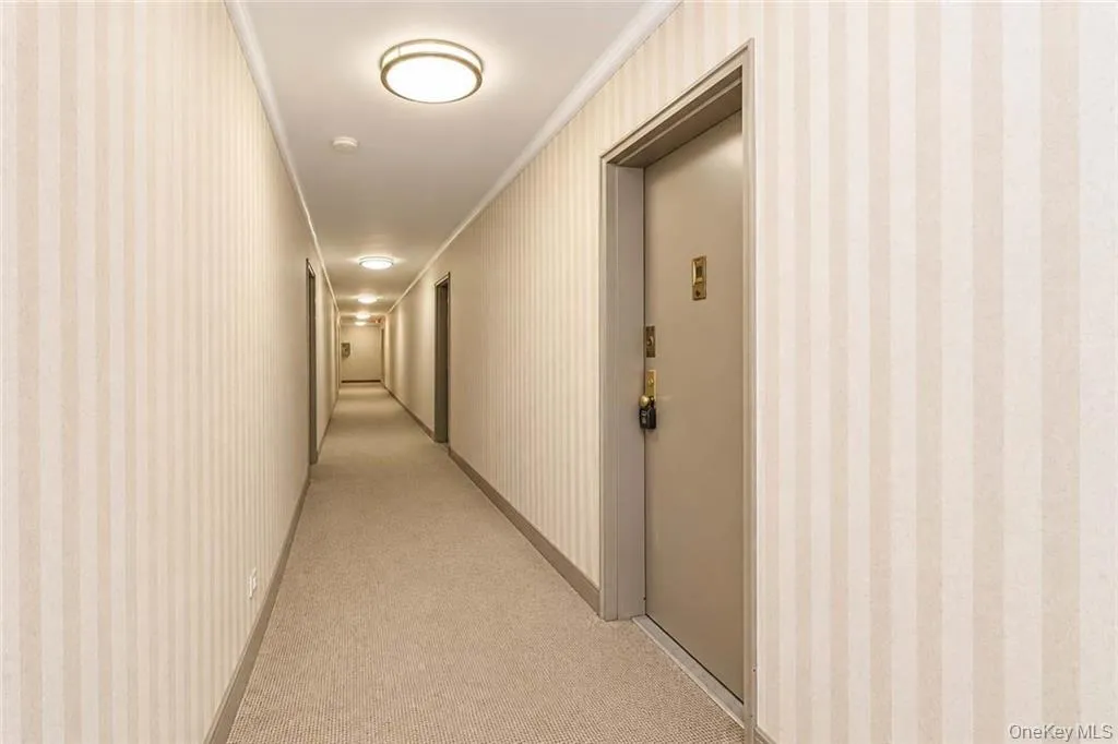 84-01 Main Street, New York, NY, 1 Bedroom Bedrooms, 3 Rooms Rooms,1 BathroomBathrooms,Residential,For Rent,Main,0,1050941 84-01 Main Street, New York, NY, 1 Bedroom Bedrooms, 3 Rooms Rooms,1 BathroomBathrooms,Residential,For Rent,Main,0,1050941
