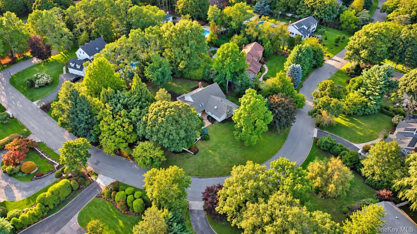 Lush, mature trees and verdant landscaping surround residential properties Lush, mature trees and verdant landscaping surround residential properties