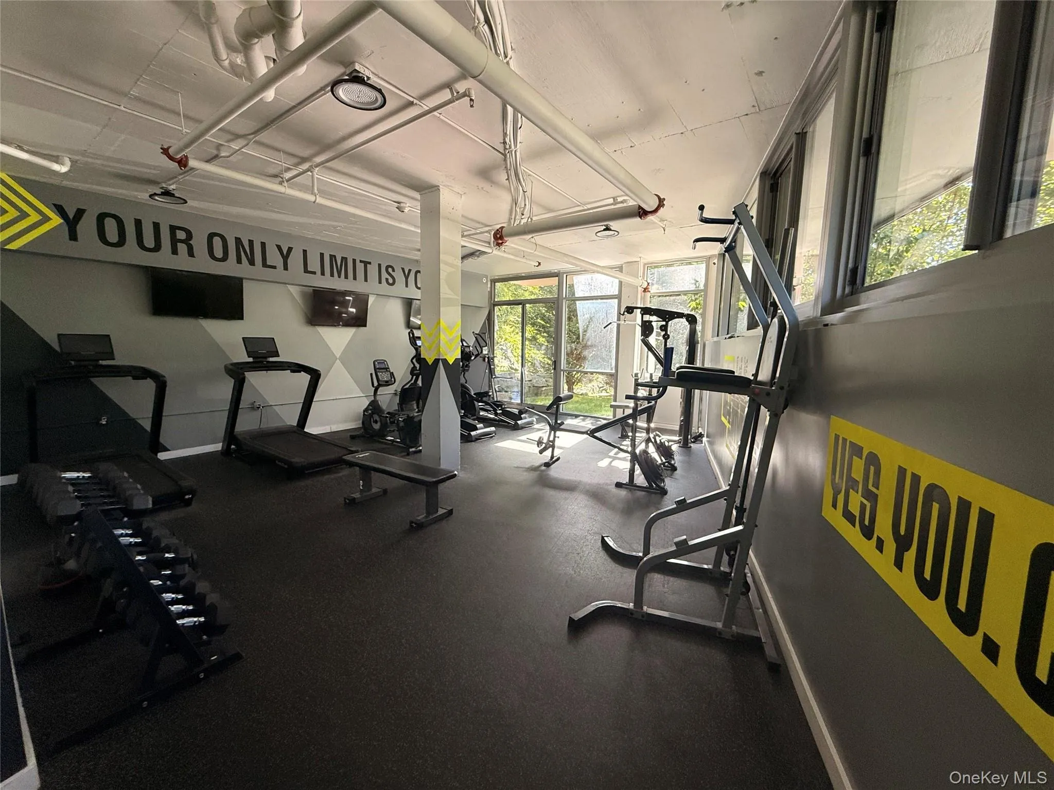 gym gym