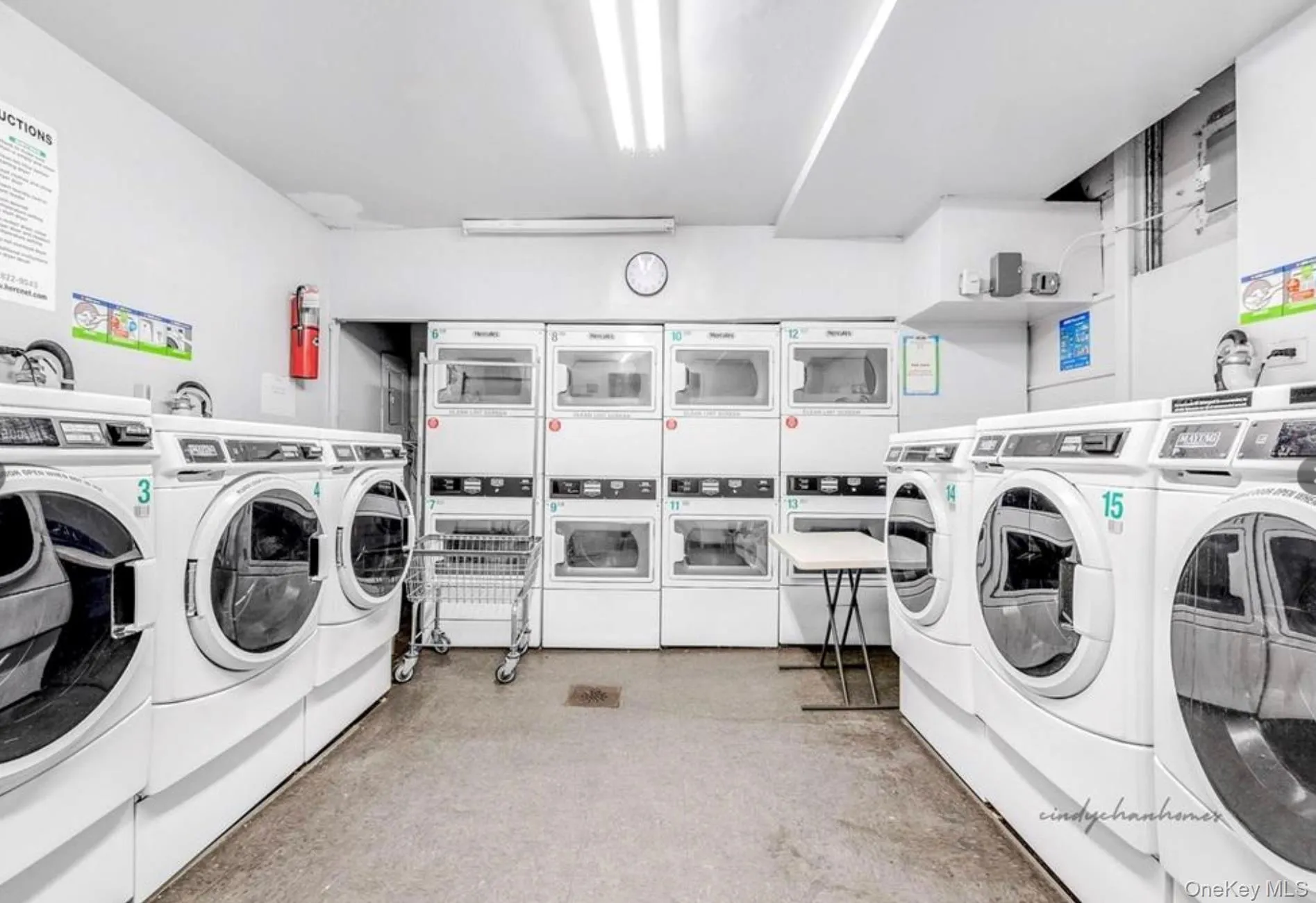 84-70 129th Street, New York, NY, 2 Bedrooms Bedrooms, 4 Rooms Rooms,1 BathroomBathrooms,Residential,For Rent,129th,0,1050964 84-70 129th Street, New York, NY, 2 Bedrooms Bedrooms, 4 Rooms Rooms,1 BathroomBathrooms,Residential,For Rent,129th,0,1050964