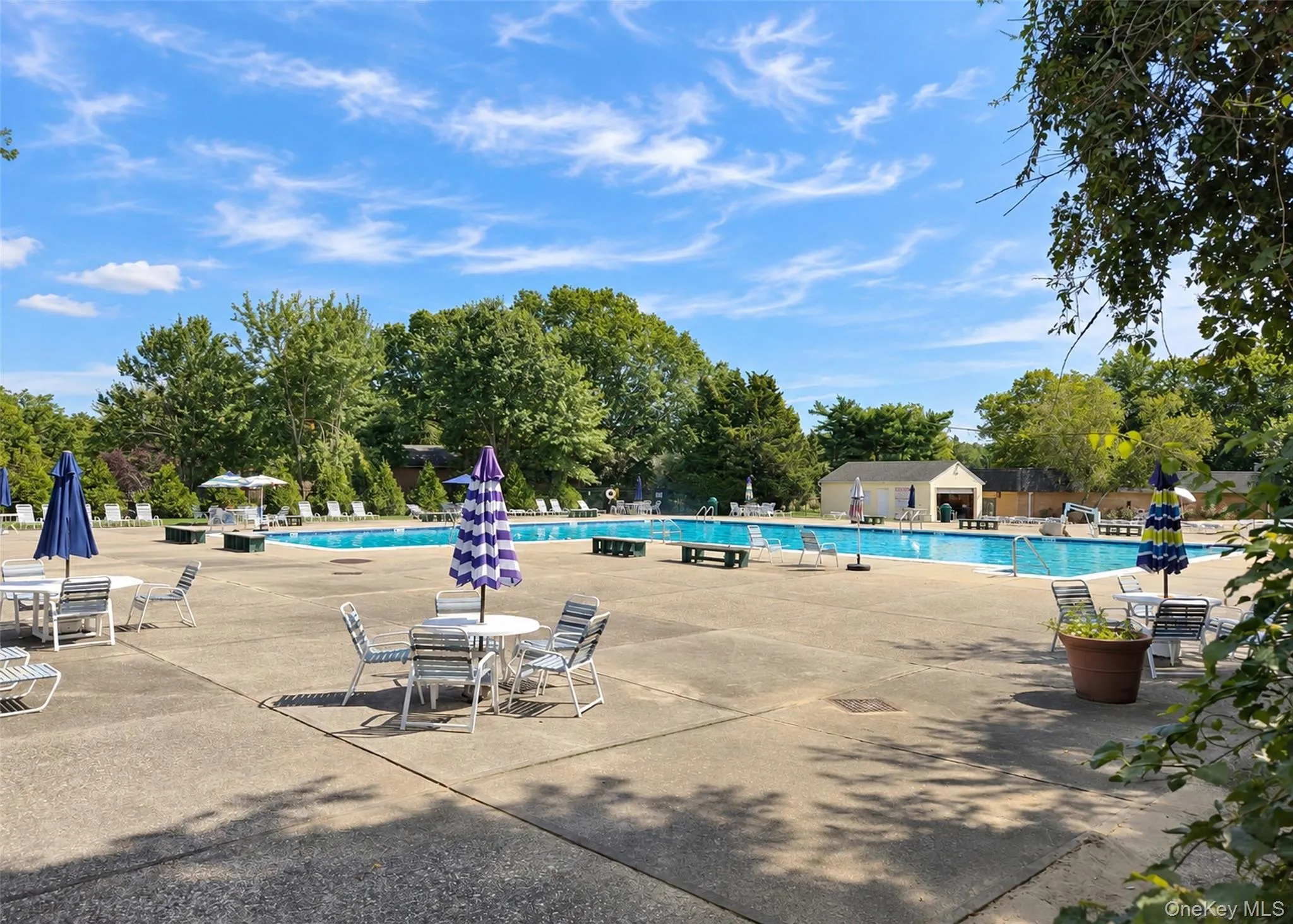 273 Fairview Circle, Brookhaven, NY, 2 Bedrooms Bedrooms, 4 Rooms Rooms,1 BathroomBathrooms,Residential,For Rent,Fairview,0,1050968 273 Fairview Circle, Brookhaven, NY, 2 Bedrooms Bedrooms, 4 Rooms Rooms,1 BathroomBathrooms,Residential,For Rent,Fairview,0,1050968