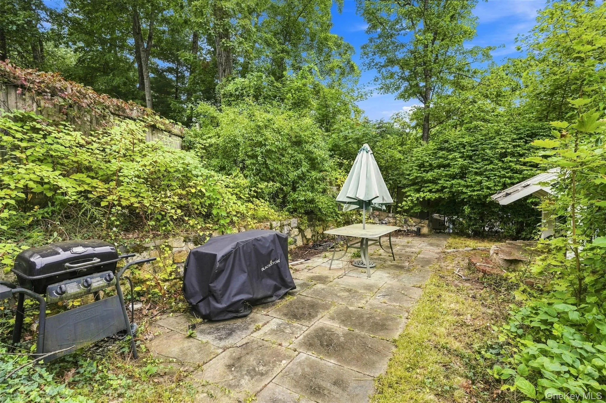 169 Walnut Road, Putnam Valley, NY, 3 Bedrooms Bedrooms, 6 Rooms Rooms,1 BathroomBathrooms,Residential,For Rent,Walnut,0,1050986 169 Walnut Road, Putnam Valley, NY, 3 Bedrooms Bedrooms, 6 Rooms Rooms,1 BathroomBathrooms,Residential,For Rent,Walnut,0,1050986