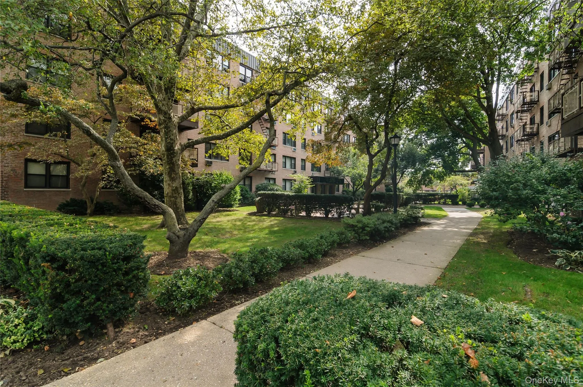 5 Birchwood Court, North Hempstead, NY, 1 Bedroom Bedrooms, 4 Rooms Rooms,1 BathroomBathrooms,Residential,For Rent,Birchwood,0,1050995 5 Birchwood Court, North Hempstead, NY, 1 Bedroom Bedrooms, 4 Rooms Rooms,1 BathroomBathrooms,Residential,For Rent,Birchwood,0,1050995