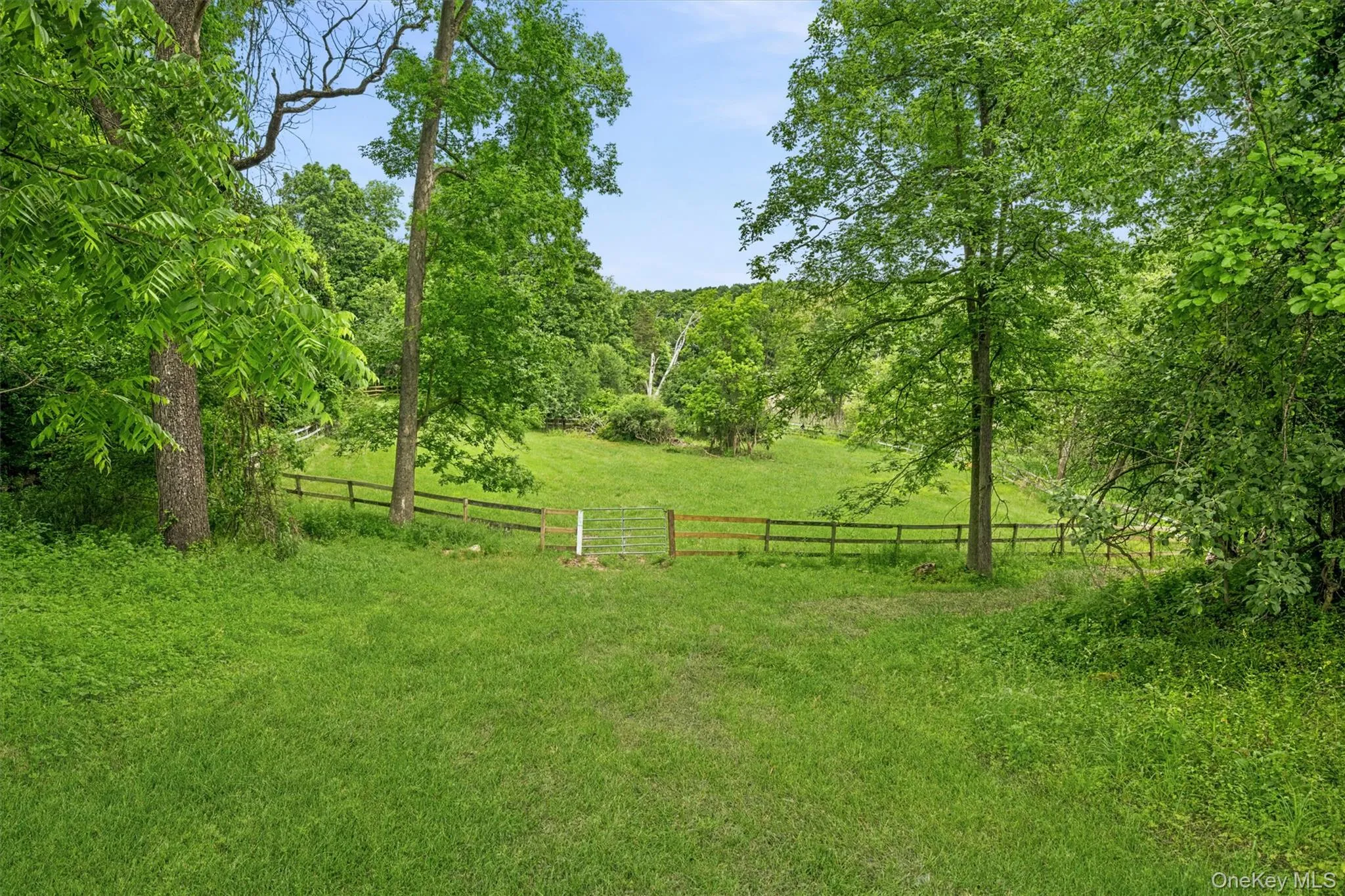 Lower Paddock Leading to Bridle Paths Lower Paddock Leading to Bridle Paths