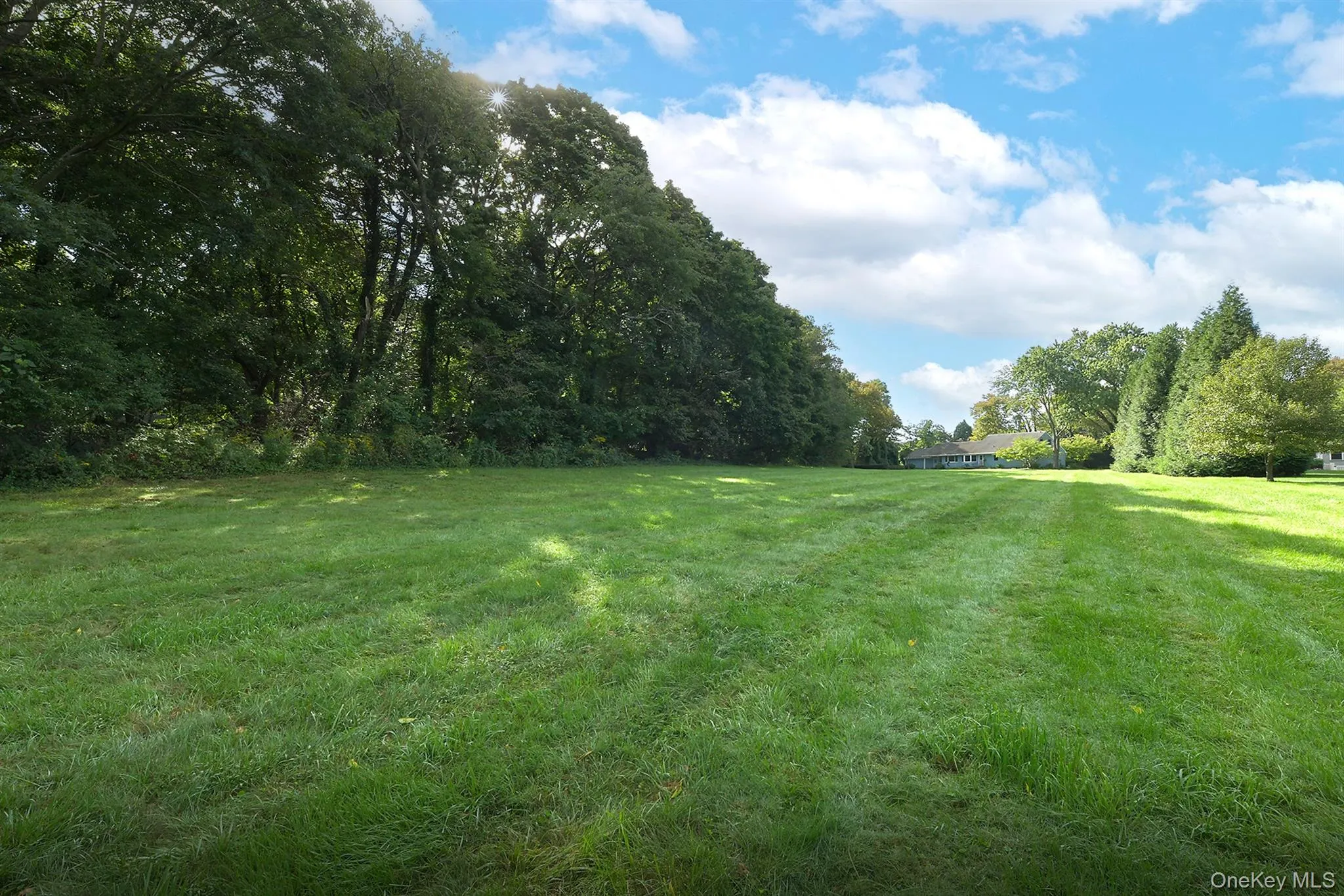 1950 Midlane, Oyster Bay, NY, 4 Bedrooms Bedrooms, 9 Rooms Rooms,3 BathroomsBathrooms,Residential,For Rent,Midlane,0,1051000 1950 Midlane, Oyster Bay, NY, 4 Bedrooms Bedrooms, 9 Rooms Rooms,3 BathroomsBathrooms,Residential,For Rent,Midlane,0,1051000