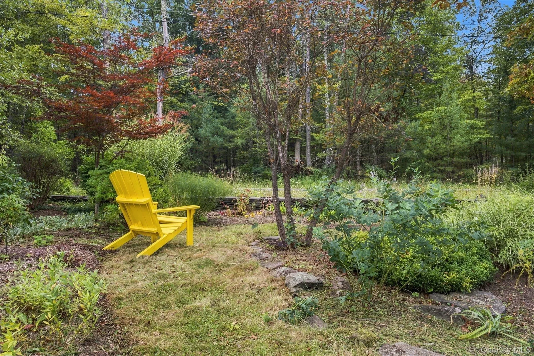 7 Wilber Lane, Woodstock, NY, 3 Bedrooms Bedrooms, 9 Rooms Rooms,3 BathroomsBathrooms,Residential,For Rent,Wilber,0,1051065 7 Wilber Lane, Woodstock, NY, 3 Bedrooms Bedrooms, 9 Rooms Rooms,3 BathroomsBathrooms,Residential,For Rent,Wilber,0,1051065