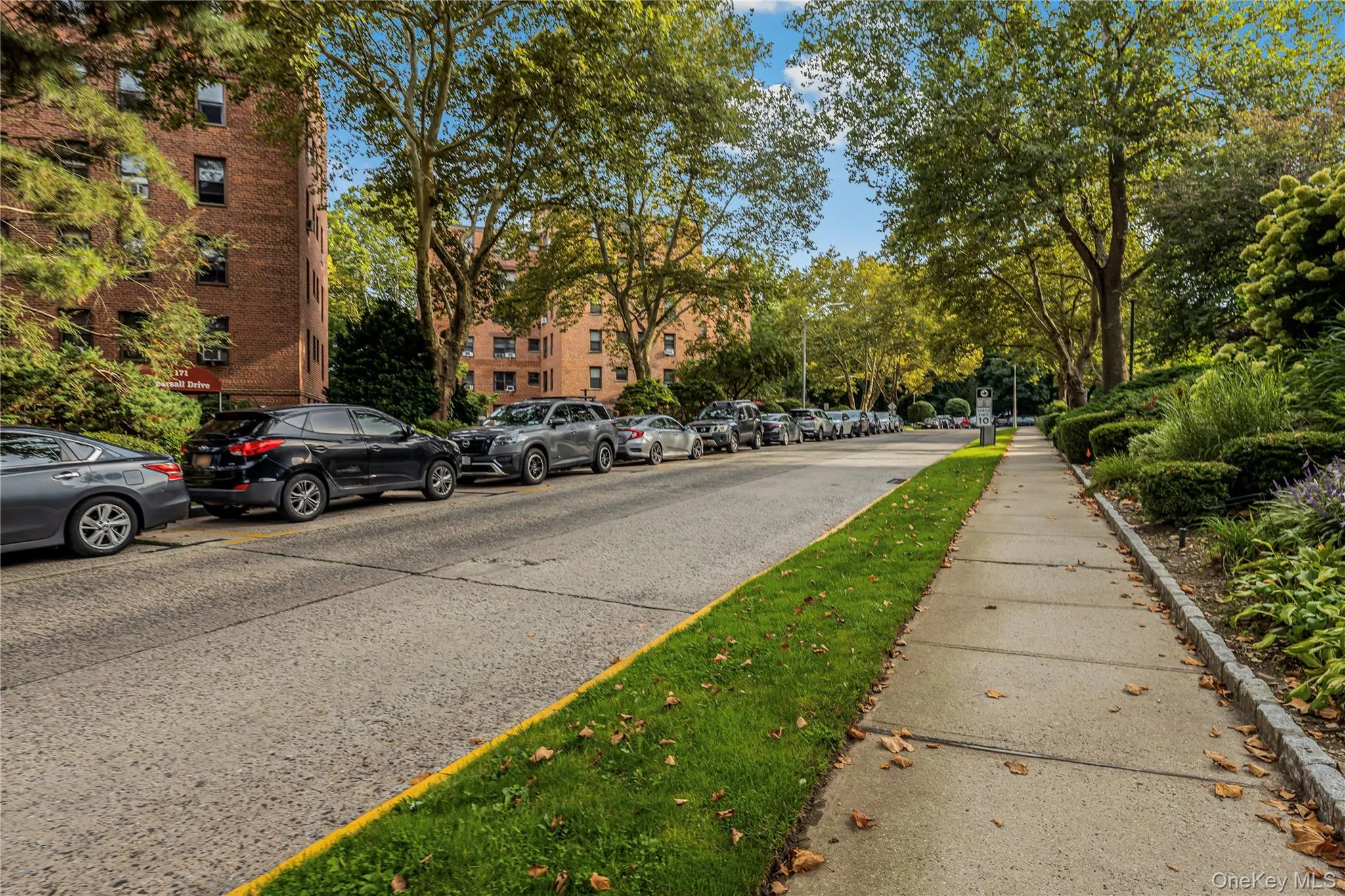 171 Pearsall, Mount Vernon, NY, 1 Bedroom Bedrooms, 4 Rooms Rooms,1 BathroomBathrooms,Residential,For Rent,Pearsall,0,1051076 171 Pearsall, Mount Vernon, NY, 1 Bedroom Bedrooms, 4 Rooms Rooms,1 BathroomBathrooms,Residential,For Rent,Pearsall,0,1051076