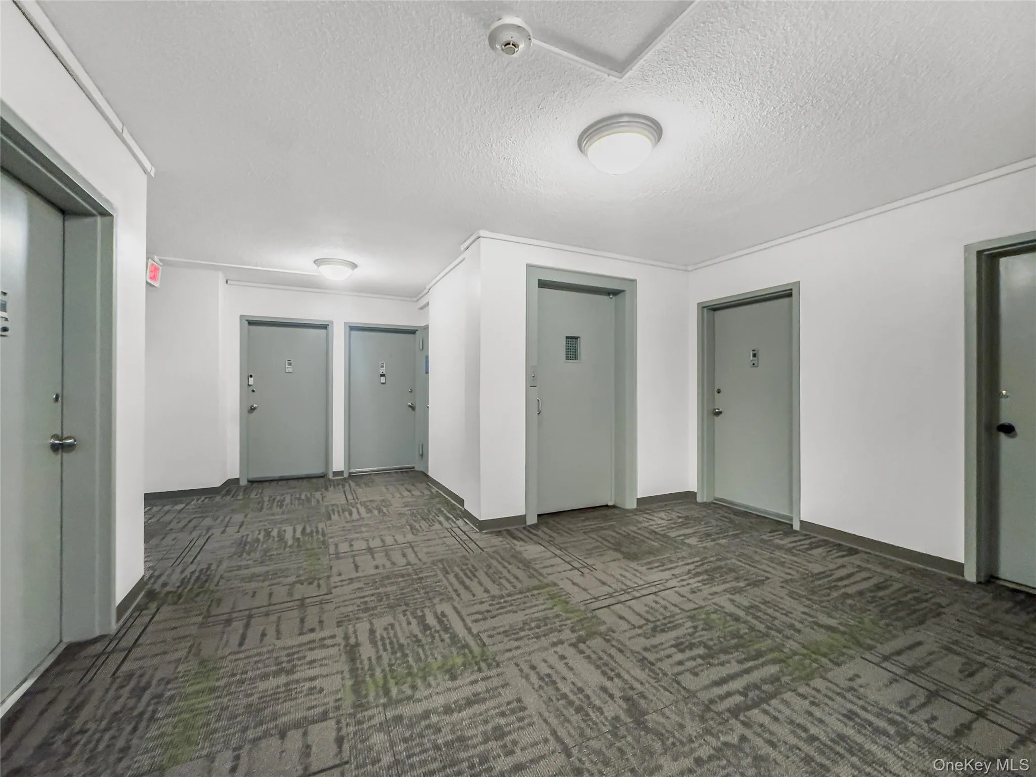 171 Pearsall, Mount Vernon, NY, 1 Bedroom Bedrooms, 4 Rooms Rooms,1 BathroomBathrooms,Residential,For Rent,Pearsall,0,1051076 171 Pearsall, Mount Vernon, NY, 1 Bedroom Bedrooms, 4 Rooms Rooms,1 BathroomBathrooms,Residential,For Rent,Pearsall,0,1051076