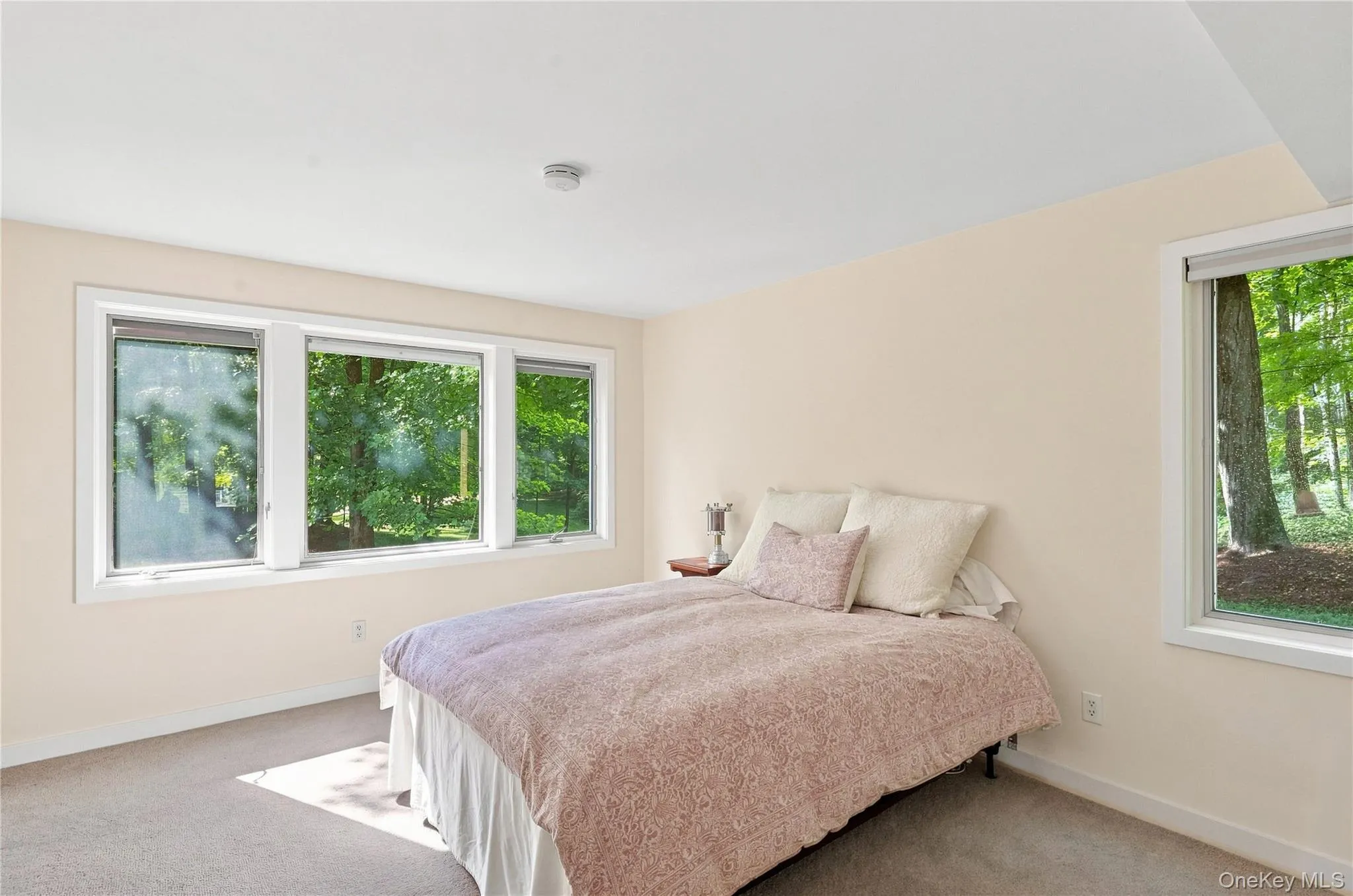 74 Ring Road, Pleasant Valley, NY, 3 Bedrooms Bedrooms, 9 Rooms Rooms,2 BathroomsBathrooms,Residential,For Rent,Ring,0,1051082 74 Ring Road, Pleasant Valley, NY, 3 Bedrooms Bedrooms, 9 Rooms Rooms,2 BathroomsBathrooms,Residential,For Rent,Ring,0,1051082