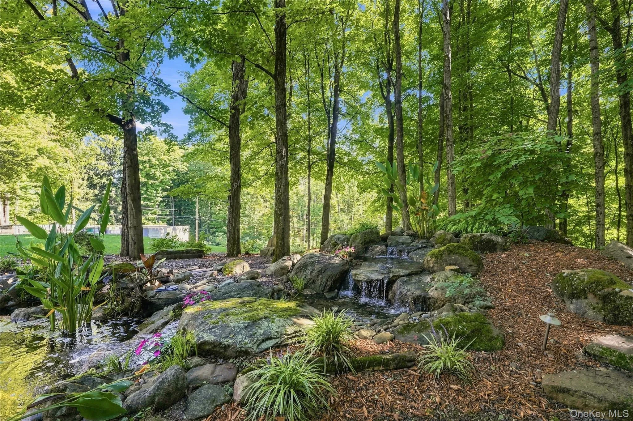 74 Ring Road, Pleasant Valley, NY, 3 Bedrooms Bedrooms, 9 Rooms Rooms,2 BathroomsBathrooms,Residential,For Rent,Ring,0,1051082 74 Ring Road, Pleasant Valley, NY, 3 Bedrooms Bedrooms, 9 Rooms Rooms,2 BathroomsBathrooms,Residential,For Rent,Ring,0,1051082