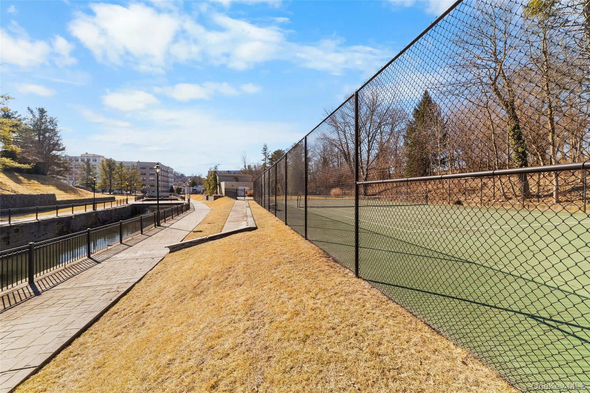 Tennis anyone? Tennis anyone?
