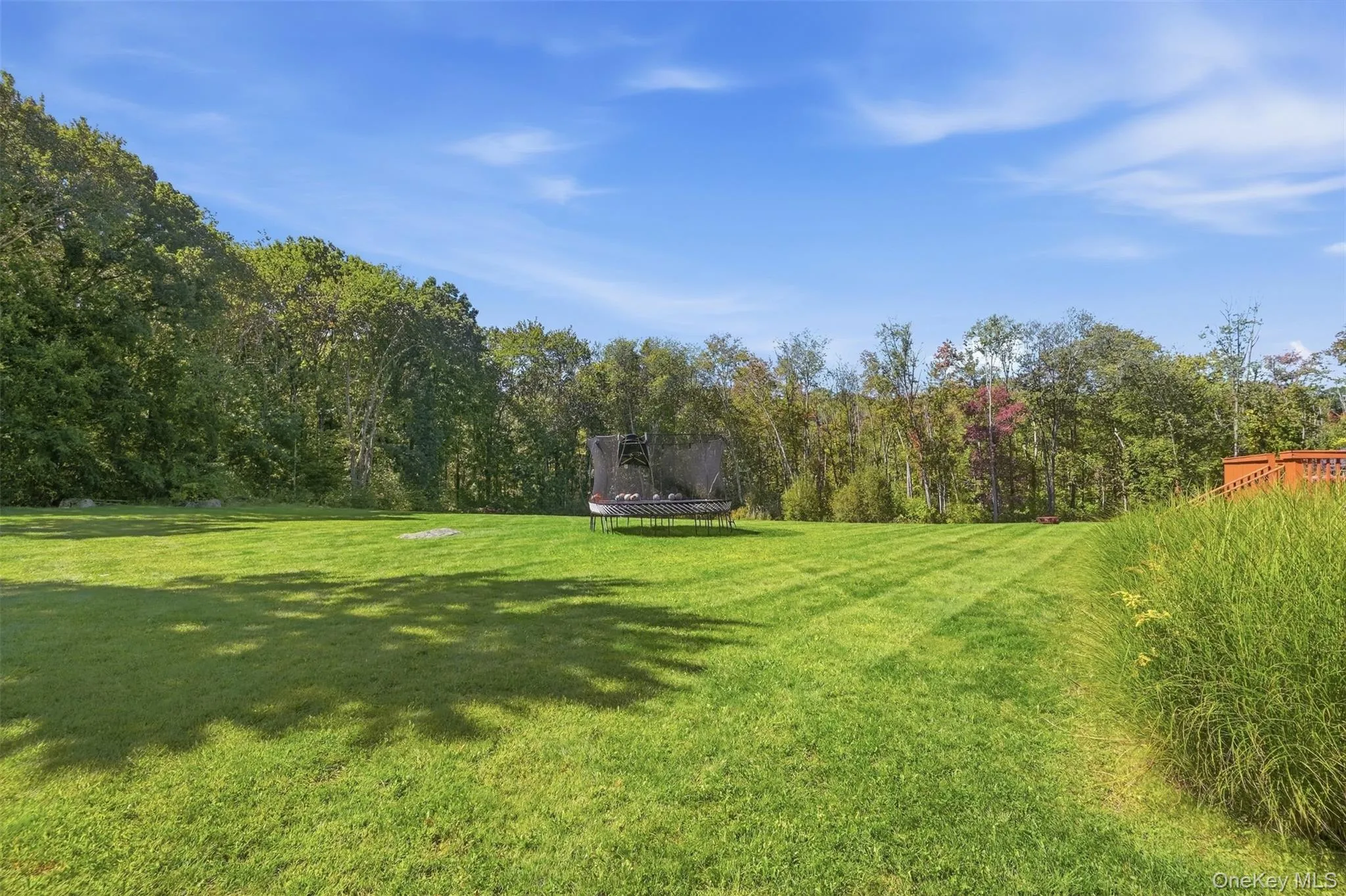 Almost 11 acres of land Almost 11 acres of land