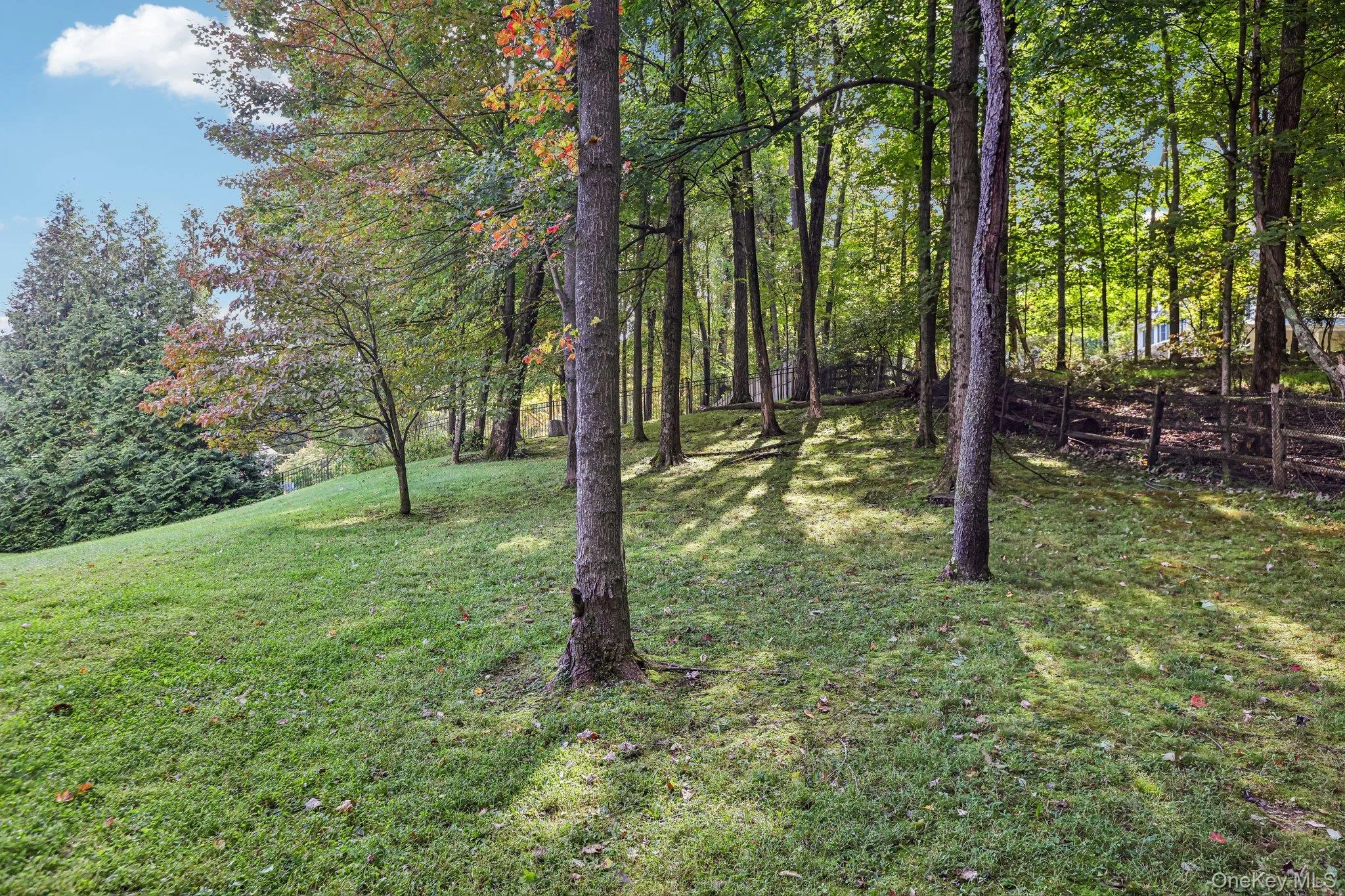 Expansive grassy terrain with mature trees, natural wooded surroundings, and a rustic split-rail fence Expansive grassy terrain with mature trees, natural wooded surroundings, and a rustic split-rail fence