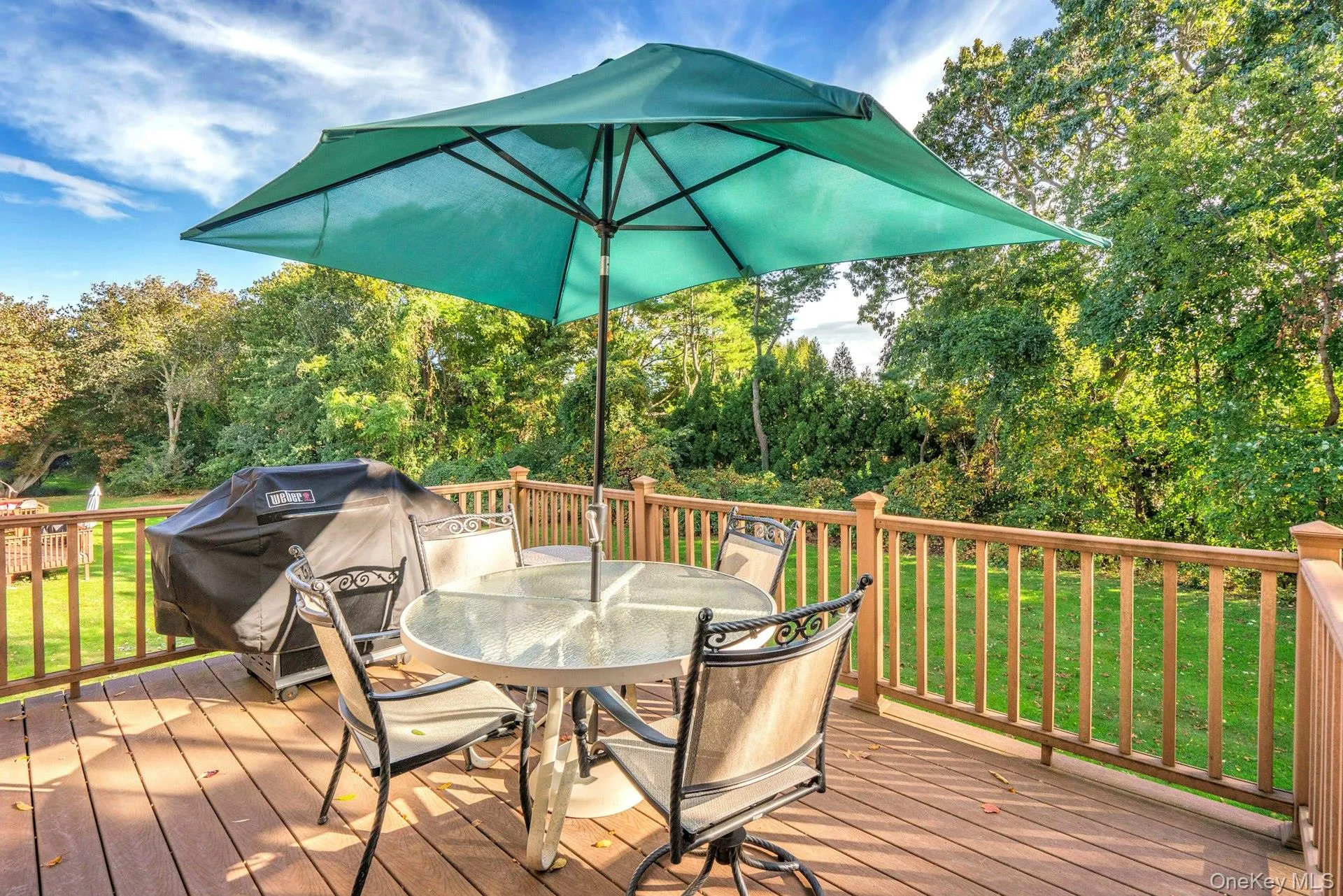 Trex Deck off Dining room Trex Deck off Dining room