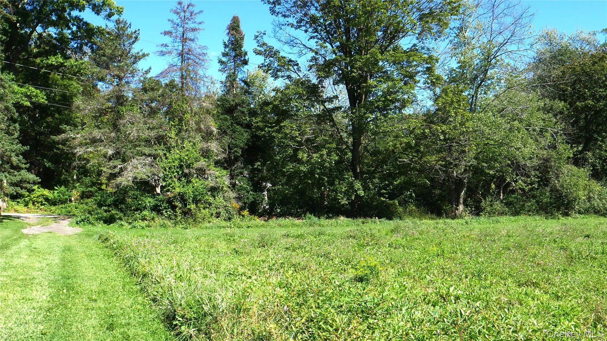 Wheeler Hill Road, Wappinger, NY, ,Land,For Rent,Wheeler Hill,0,1051331 Wheeler Hill Road, Wappinger, NY, ,Land,For Rent,Wheeler Hill,0,1051331