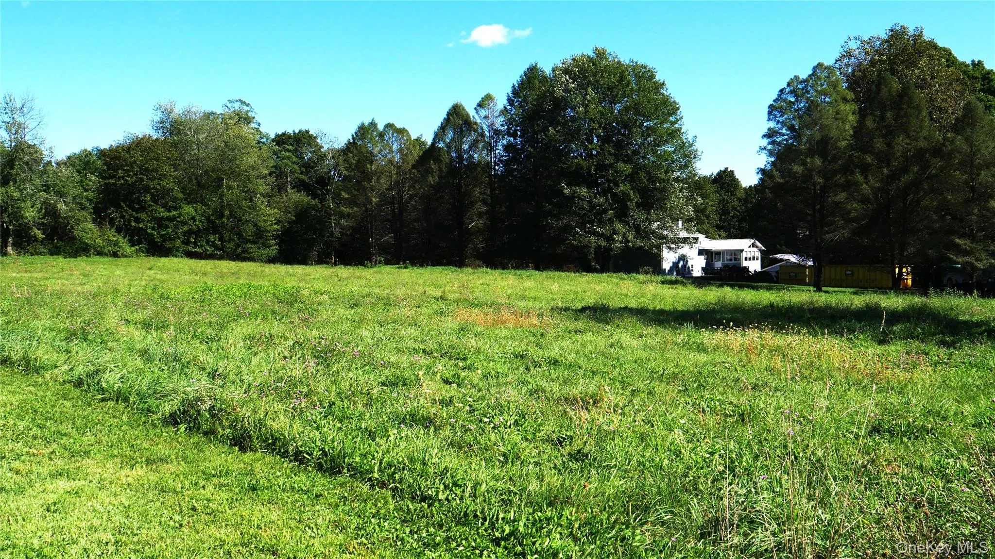 Wheeler Hill Road, Wappinger, NY, ,Land,For Rent,Wheeler Hill,0,1051331 Wheeler Hill Road, Wappinger, NY, ,Land,For Rent,Wheeler Hill,0,1051331