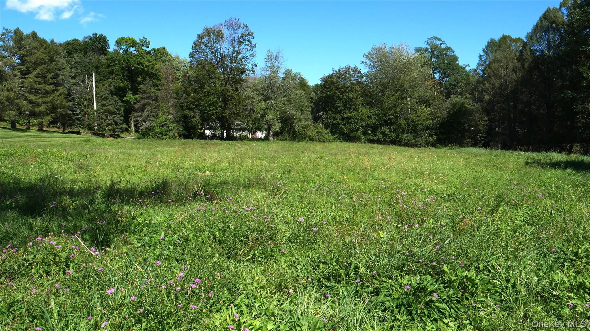Wheeler Hill Road, Wappinger, NY, ,Land,For Rent,Wheeler Hill,0,1051331 Wheeler Hill Road, Wappinger, NY, ,Land,For Rent,Wheeler Hill,0,1051331