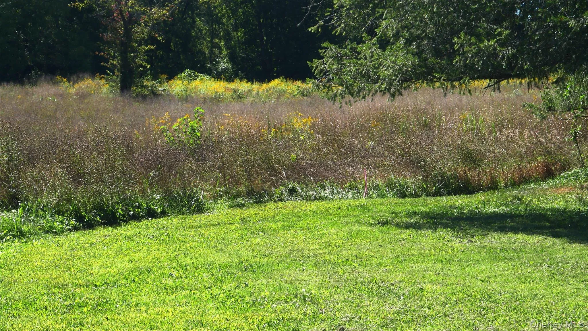 Wheeler Hill Road, Wappinger, NY, ,Land,For Rent,Wheeler Hill,0,1051331 Wheeler Hill Road, Wappinger, NY, ,Land,For Rent,Wheeler Hill,0,1051331