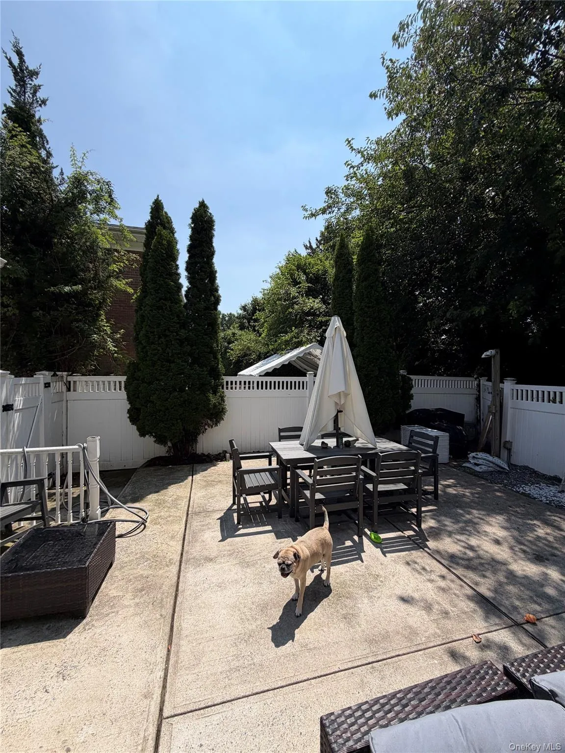 6 Melton Drive, Hempstead, NY, 7 Bedrooms Bedrooms, 16 Rooms Rooms,3 BathroomsBathrooms,Residential,For Rent,Melton,0,1051335 6 Melton Drive, Hempstead, NY, 7 Bedrooms Bedrooms, 16 Rooms Rooms,3 BathroomsBathrooms,Residential,For Rent,Melton,0,1051335