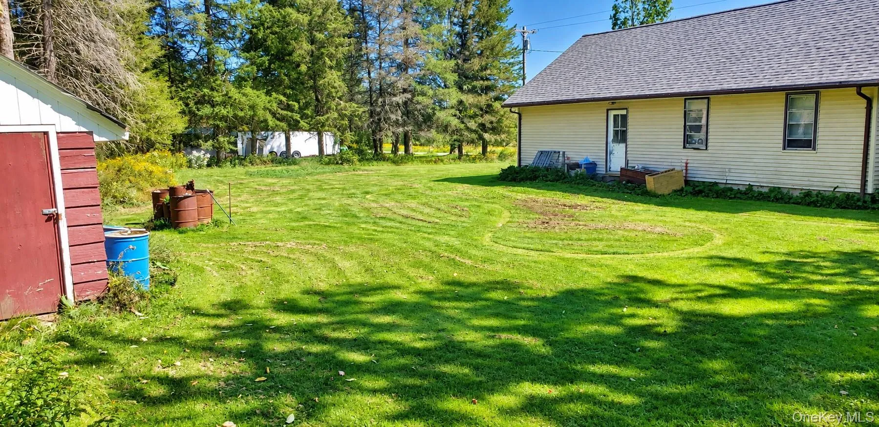 Expansive green lawn with mature trees and a detached red shed Expansive green lawn with mature trees and a detached red shed