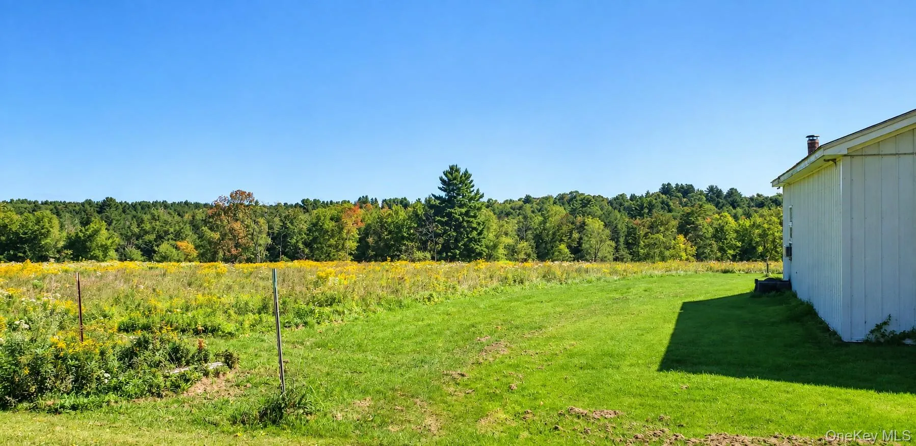 Expansive green lawn with a white exterior structure and distant mature trees Expansive green lawn with a white exterior structure and distant mature trees