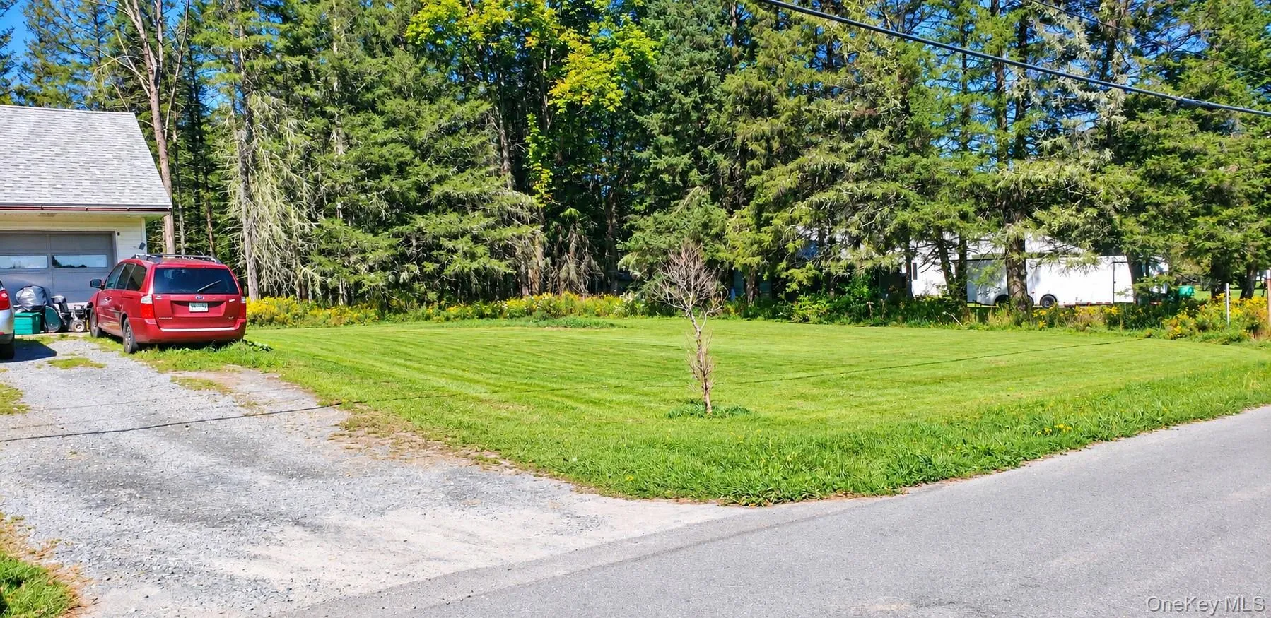 Manicured lawn with mature perimeter trees and a gravel driveway Manicured lawn with mature perimeter trees and a gravel driveway