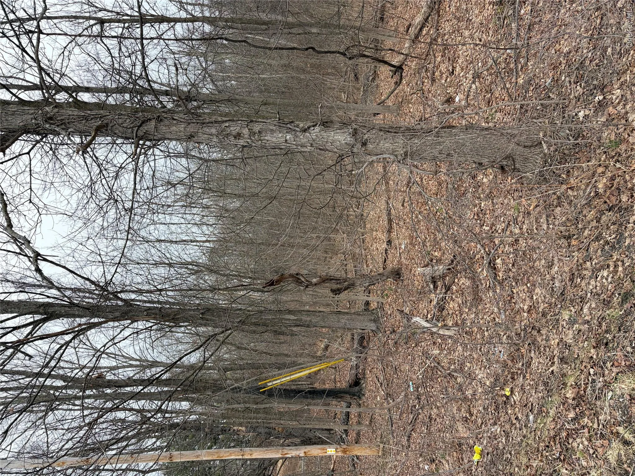 3748 US Highway 9W, Lloyd, NY, ,Land,For Rent,US Highway 9W,0,1051386 3748 US Highway 9W, Lloyd, NY, ,Land,For Rent,US Highway 9W,0,1051386