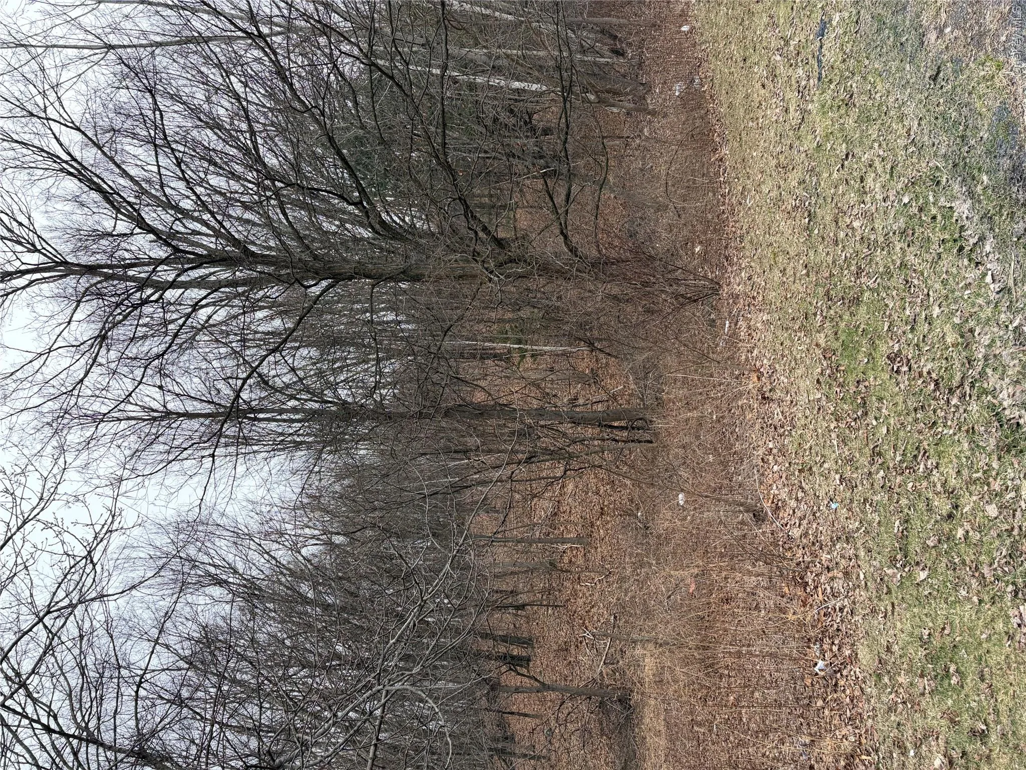 3748 US Highway 9W, Lloyd, NY, ,Land,For Rent,US Highway 9W,0,1051386 3748 US Highway 9W, Lloyd, NY, ,Land,For Rent,US Highway 9W,0,1051386