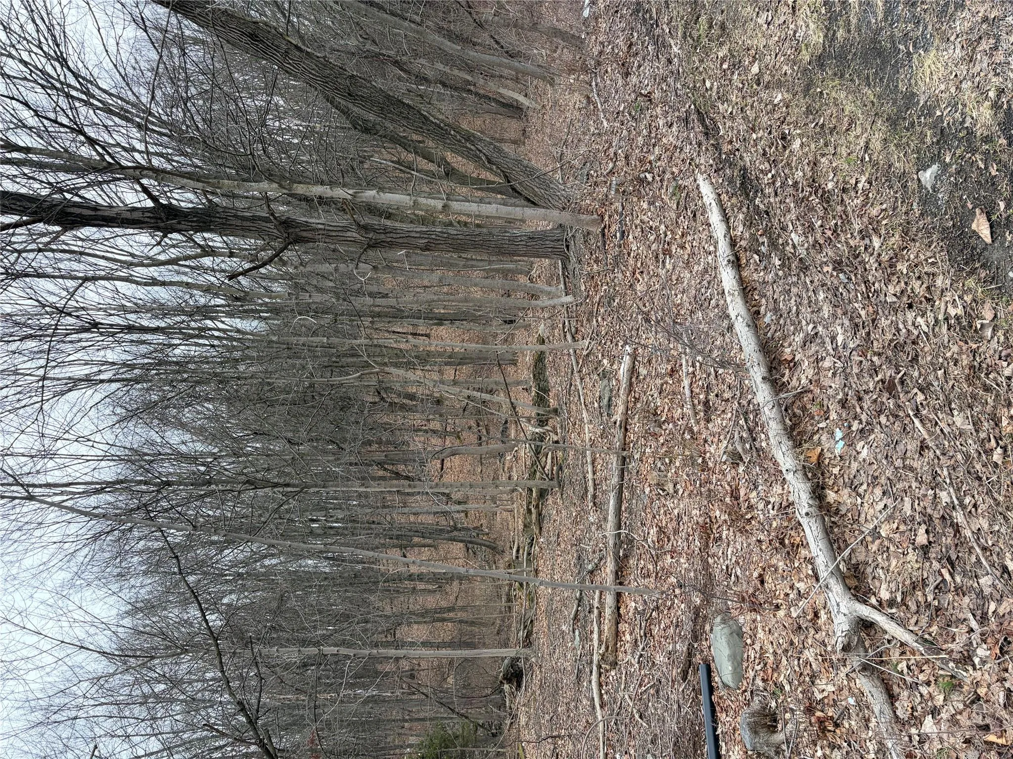 3748 US Highway 9W, Lloyd, NY, ,Land,For Rent,US Highway 9W,0,1051386 3748 US Highway 9W, Lloyd, NY, ,Land,For Rent,US Highway 9W,0,1051386