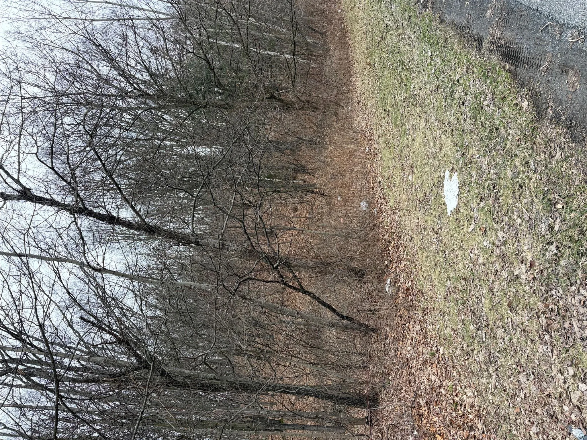 3748 US Highway 9W, Lloyd, NY, ,Land,For Rent,US Highway 9W,0,1051386 3748 US Highway 9W, Lloyd, NY, ,Land,For Rent,US Highway 9W,0,1051386