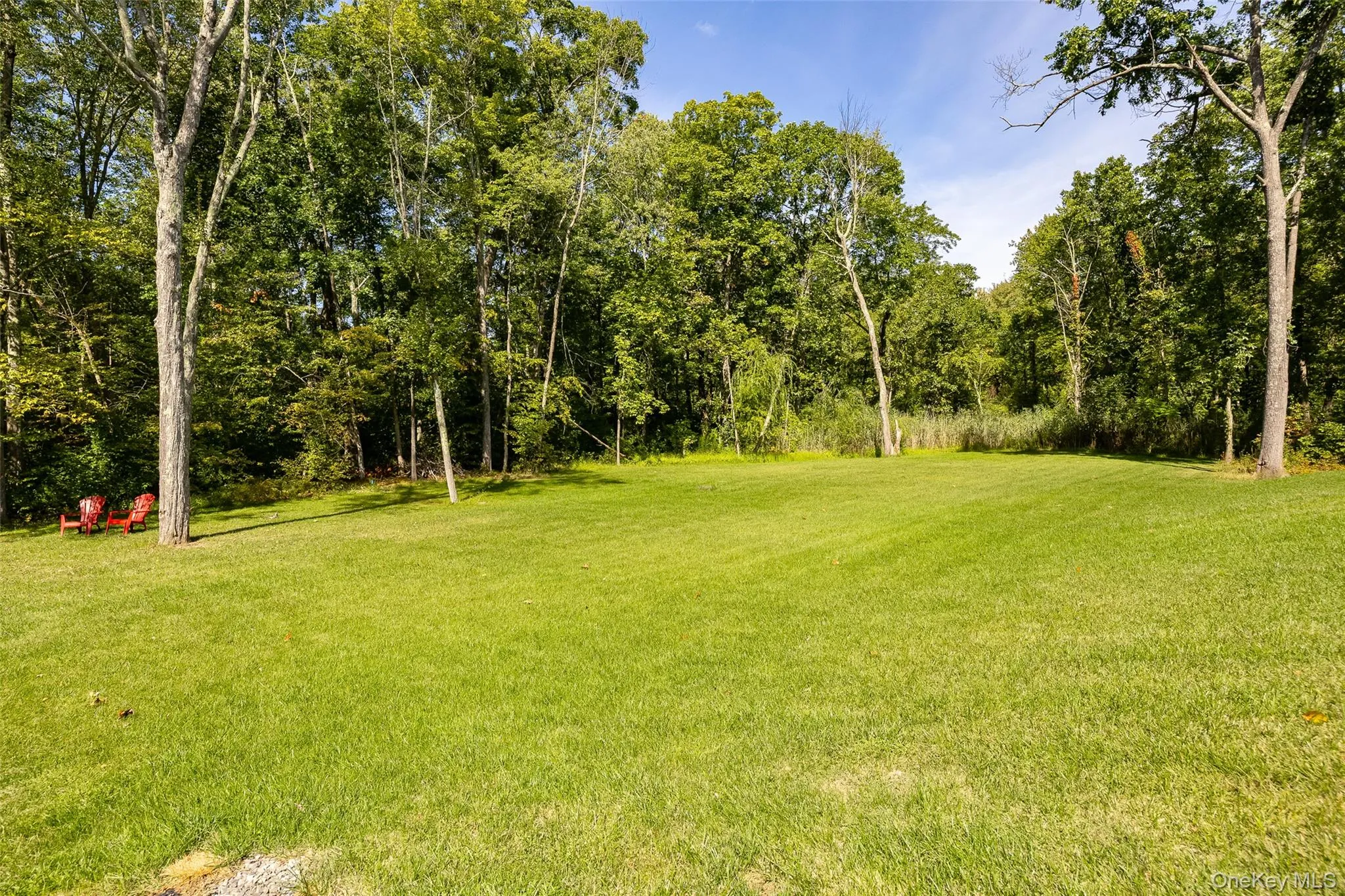 327 Commons Road, Clermont, NY, 4 Bedrooms Bedrooms, 11 Rooms Rooms,3 BathroomsBathrooms,Residential,For Rent,Commons,0,1051421 327 Commons Road, Clermont, NY, 4 Bedrooms Bedrooms, 11 Rooms Rooms,3 BathroomsBathrooms,Residential,For Rent,Commons,0,1051421