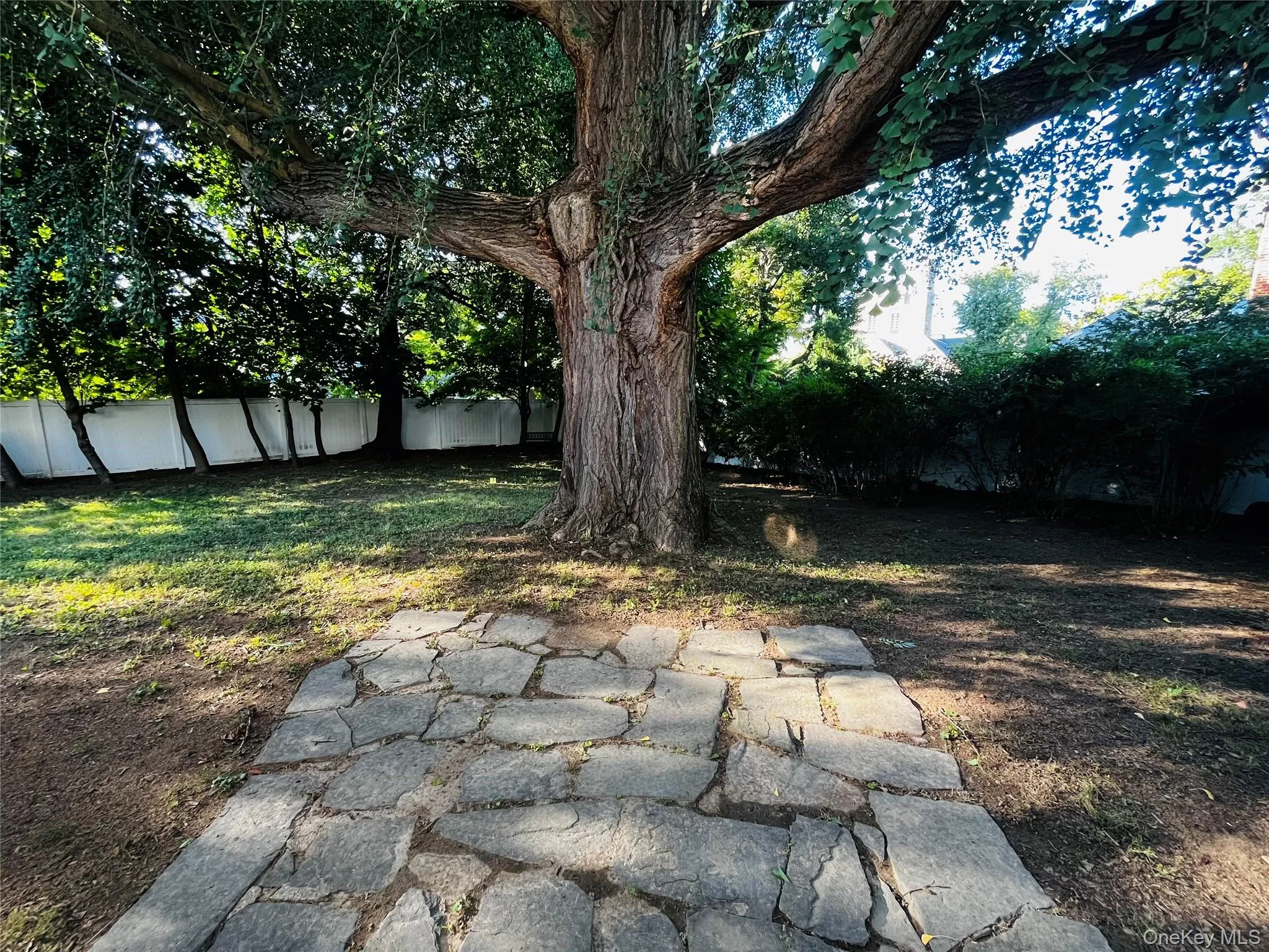 21 Northview Terrace, Yonkers, NY, 2 Bedrooms Bedrooms, 7 Rooms Rooms,1 BathroomBathrooms,Residential Lease,For Rent,Northview,0,1051424 21 Northview Terrace, Yonkers, NY, 2 Bedrooms Bedrooms, 7 Rooms Rooms,1 BathroomBathrooms,Residential Lease,For Rent,Northview,0,1051424