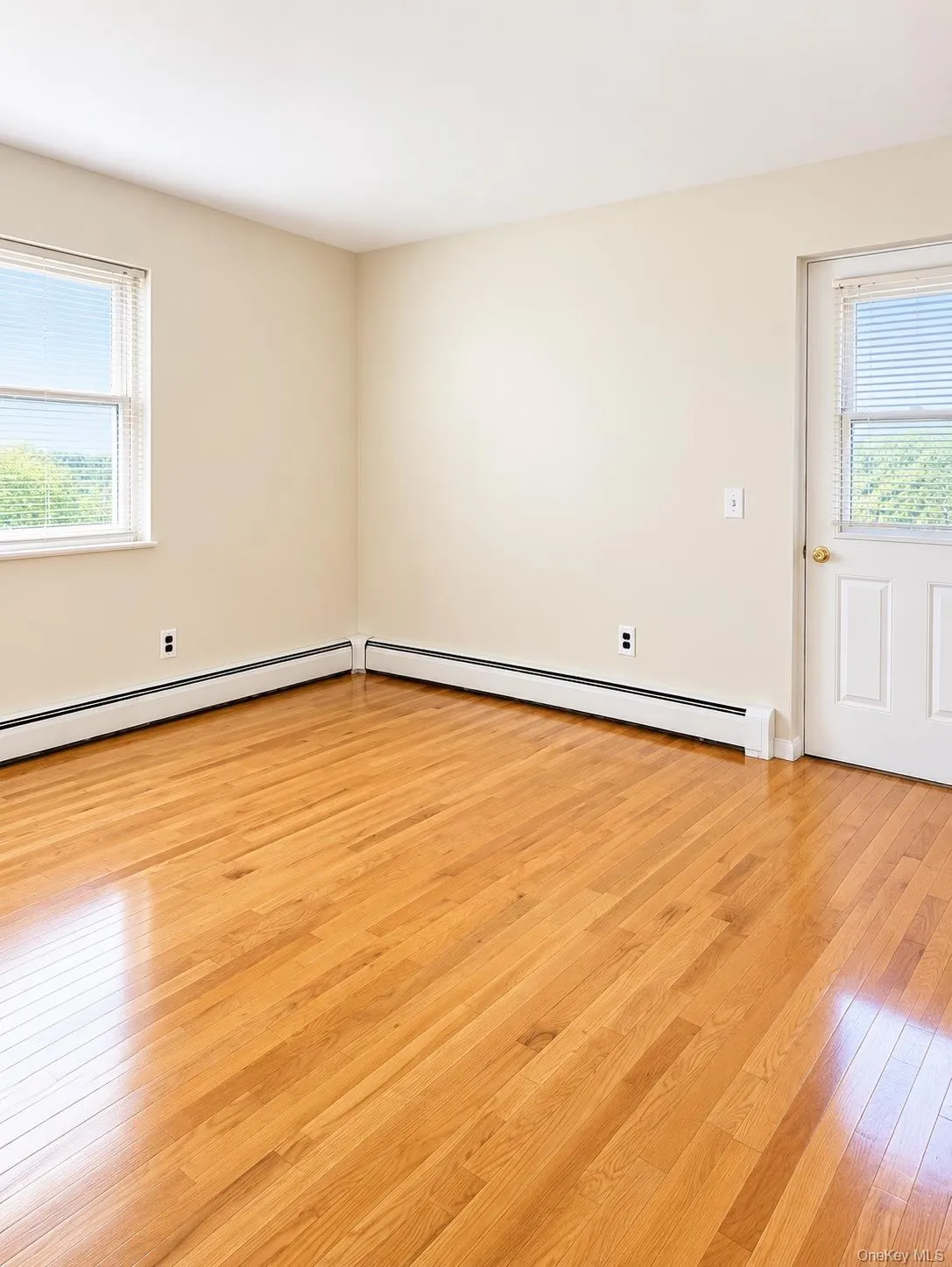Light wood-finish flooring, two windows with blinds, and a white paneled door Light wood-finish flooring, two windows with blinds, and a white paneled door