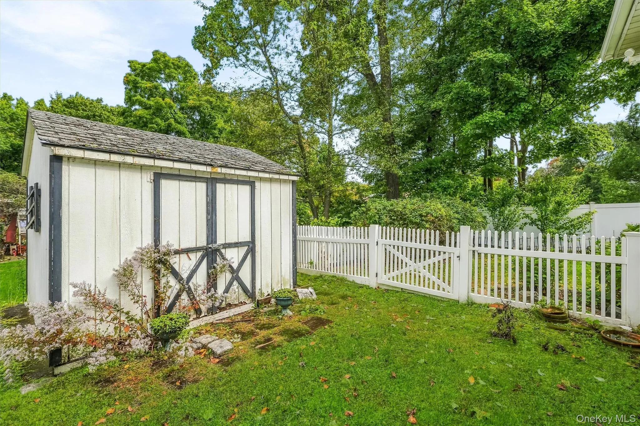 Shed Shed