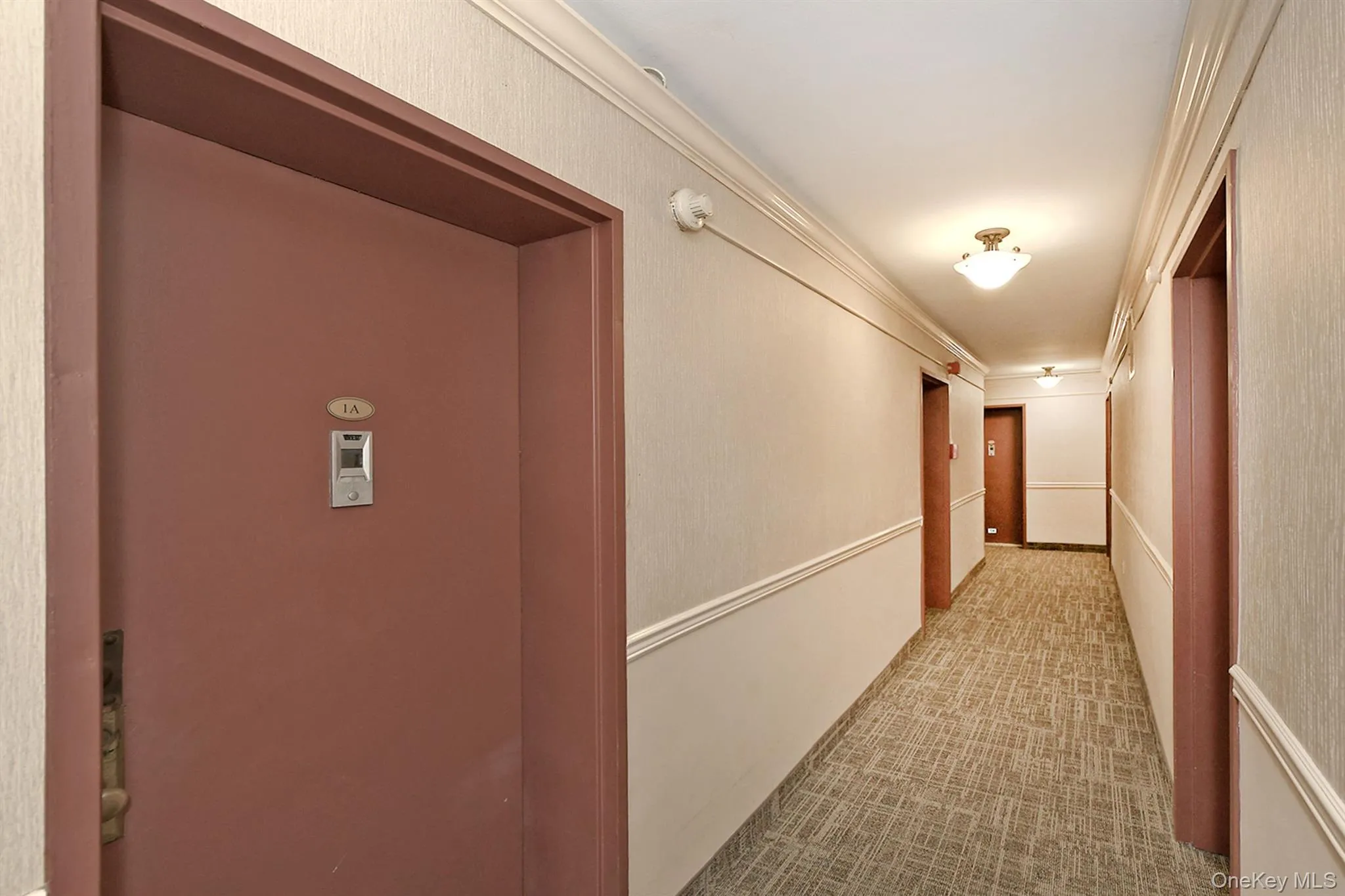 370 Broadway, Long Beach, NY, 1 Bedroom Bedrooms, 3 Rooms Rooms,1 BathroomBathrooms,Residential,For Rent,Broadway,0,1051513 370 Broadway, Long Beach, NY, 1 Bedroom Bedrooms, 3 Rooms Rooms,1 BathroomBathrooms,Residential,For Rent,Broadway,0,1051513