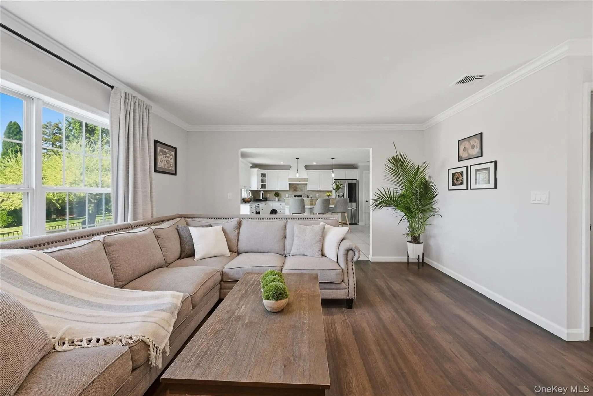 Wood-finish flooring throughout, bright window with transom-style panes, crown molding, and a kitchen pass-through Wood-finish flooring throughout, bright window with transom-style panes, crown molding, and a kitchen pass-through