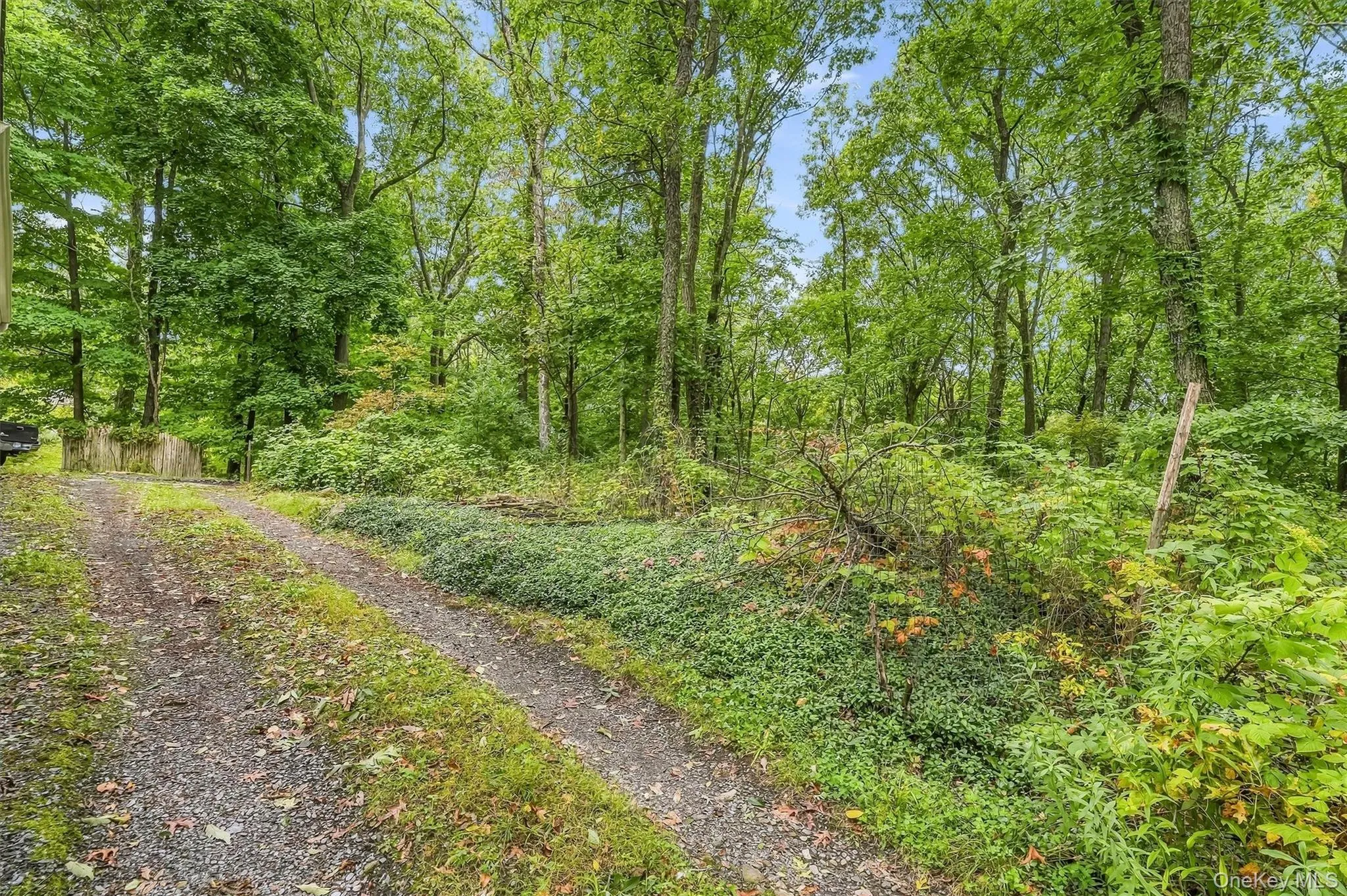 153 Nardin Road, Putnam Valley, NY, 2 Bedrooms Bedrooms, 5 Rooms Rooms,1 BathroomBathrooms,Residential,For Rent,Nardin,0,1051530 153 Nardin Road, Putnam Valley, NY, 2 Bedrooms Bedrooms, 5 Rooms Rooms,1 BathroomBathrooms,Residential,For Rent,Nardin,0,1051530