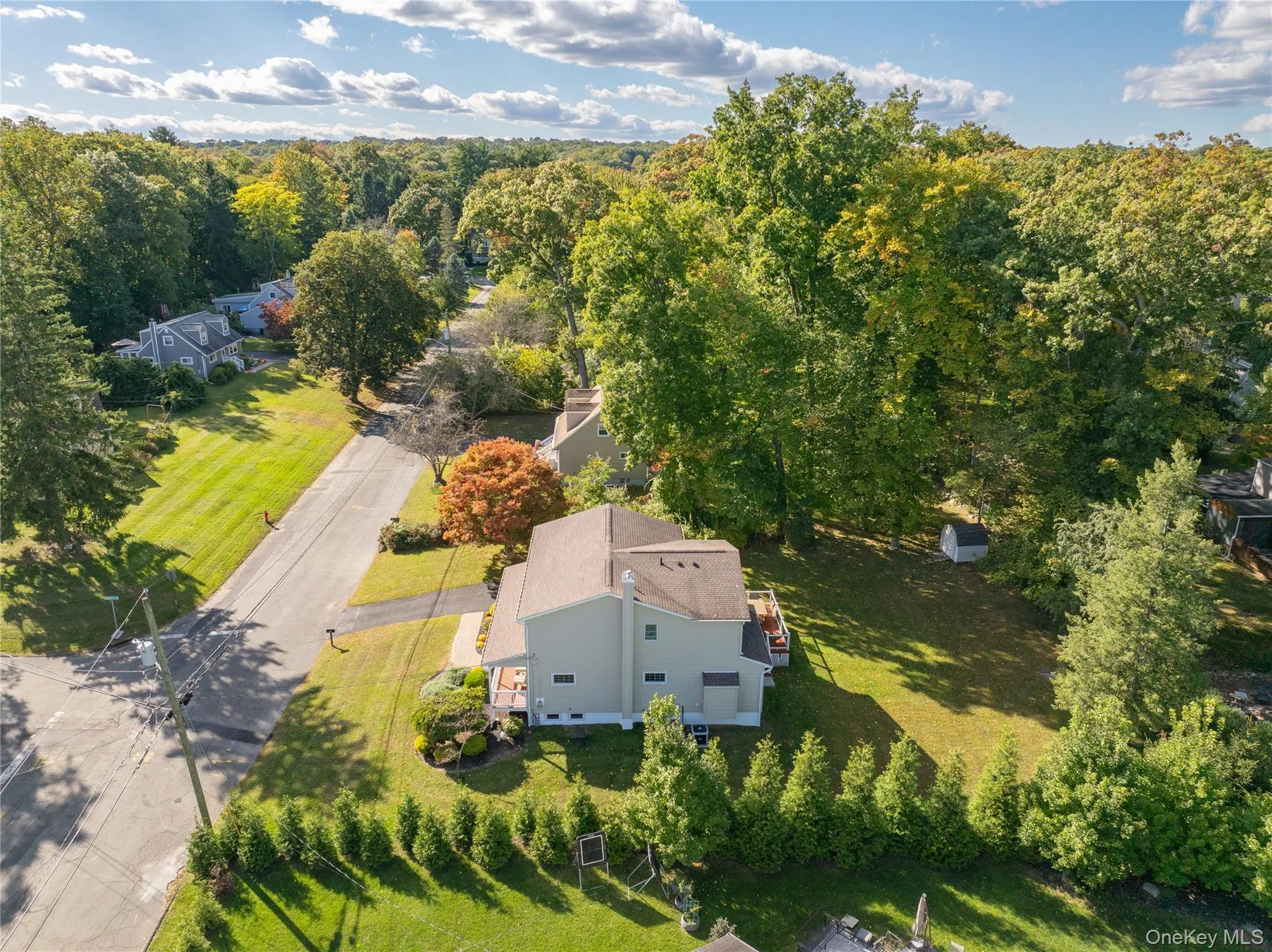 Private treed backyard Private treed backyard