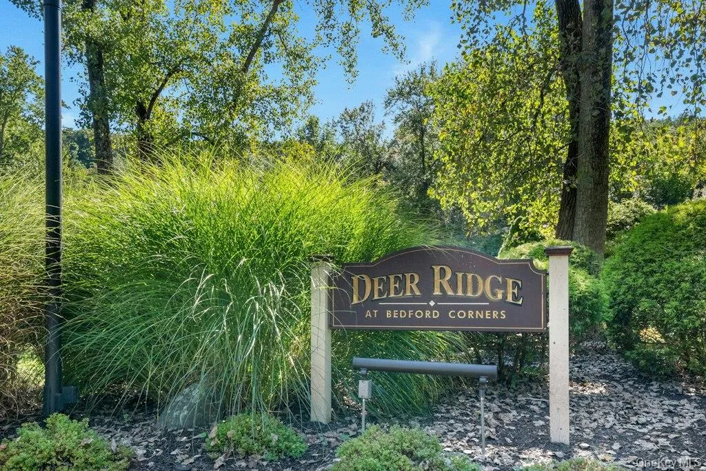 12 Deer Ridge Road, Bedford, NY, 3 Bedrooms Bedrooms, 8 Rooms Rooms,2 BathroomsBathrooms,Residential,For Rent,Deer Ridge,0,1051540 12 Deer Ridge Road, Bedford, NY, 3 Bedrooms Bedrooms, 8 Rooms Rooms,2 BathroomsBathrooms,Residential,For Rent,Deer Ridge,0,1051540