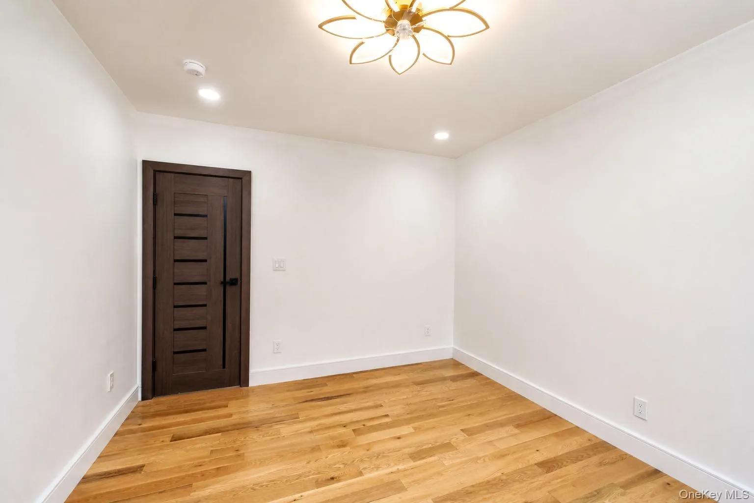 1194 Albany Avenue, New York, NY, 6 Bedrooms Bedrooms, 11 Rooms Rooms,2 BathroomsBathrooms,Residential,For Rent,Albany,0,1051548 1194 Albany Avenue, New York, NY, 6 Bedrooms Bedrooms, 11 Rooms Rooms,2 BathroomsBathrooms,Residential,For Rent,Albany,0,1051548