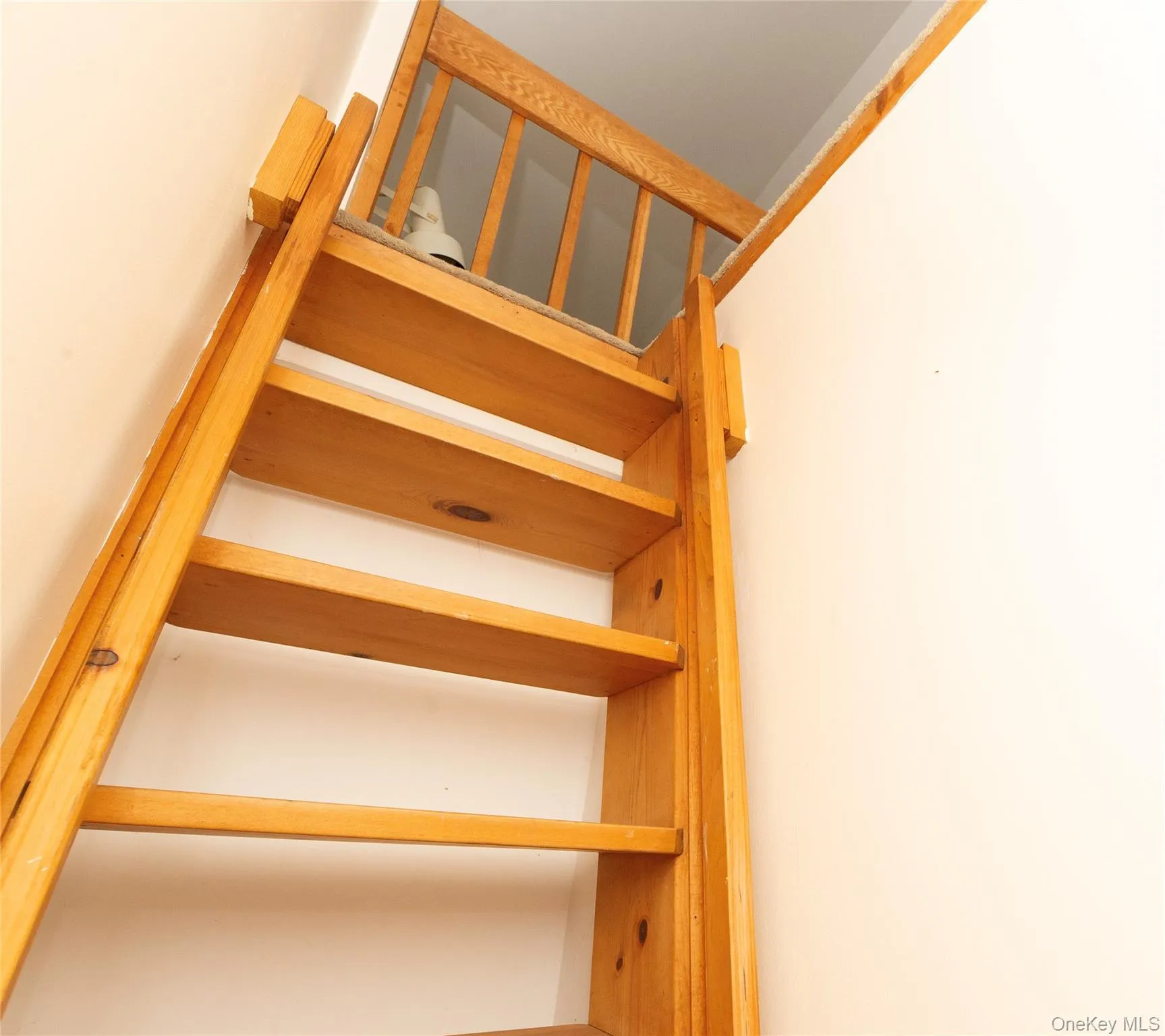 17 Tiger Trail, Carmel, NY, 3 Bedrooms Bedrooms, 6 Rooms Rooms,2 BathroomsBathrooms,Residential,For Rent,Tiger,0,1051568 17 Tiger Trail, Carmel, NY, 3 Bedrooms Bedrooms, 6 Rooms Rooms,2 BathroomsBathrooms,Residential,For Rent,Tiger,0,1051568